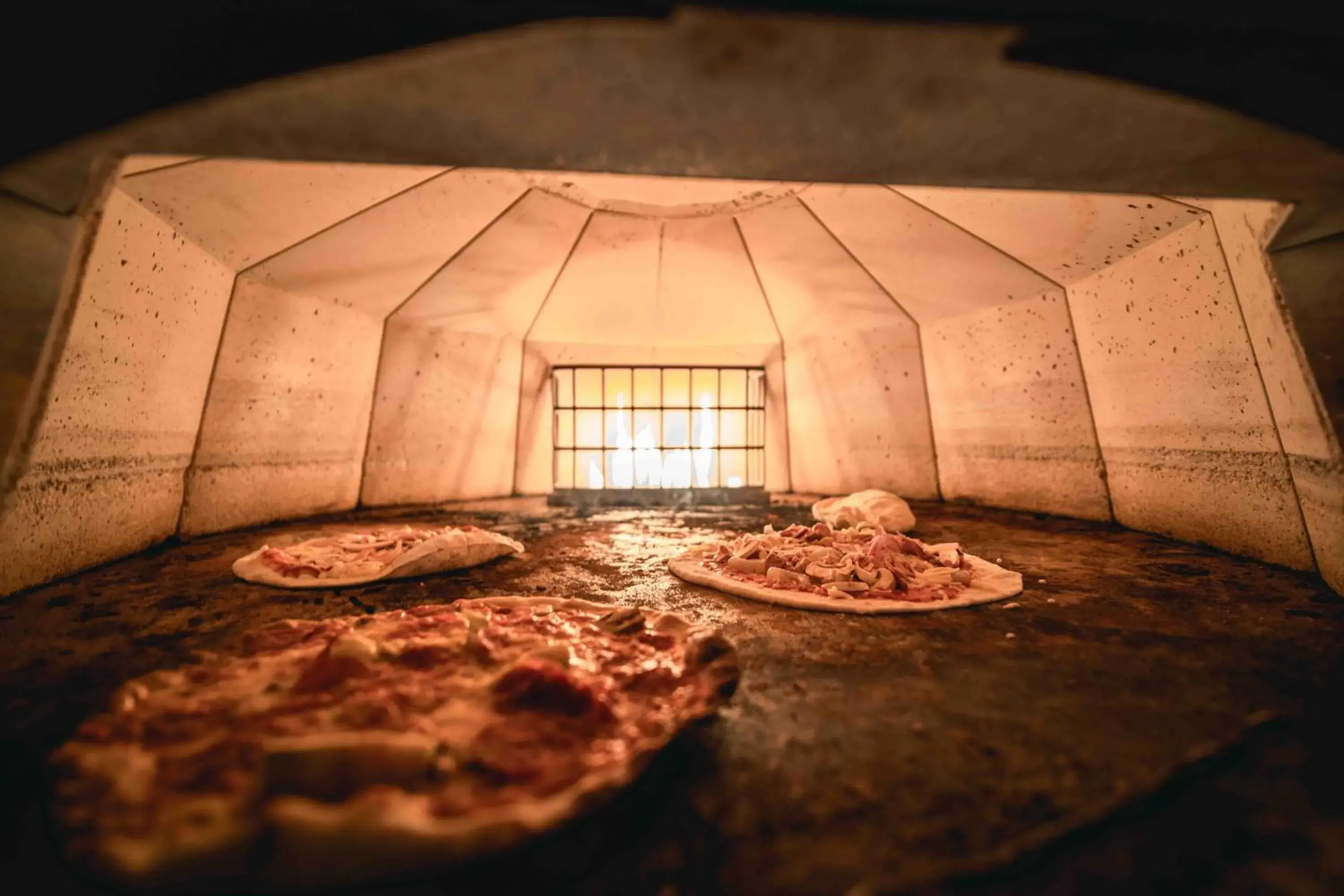 Food close-up in Captain Don's Habitat Food close-up in Captain Don's Habitat