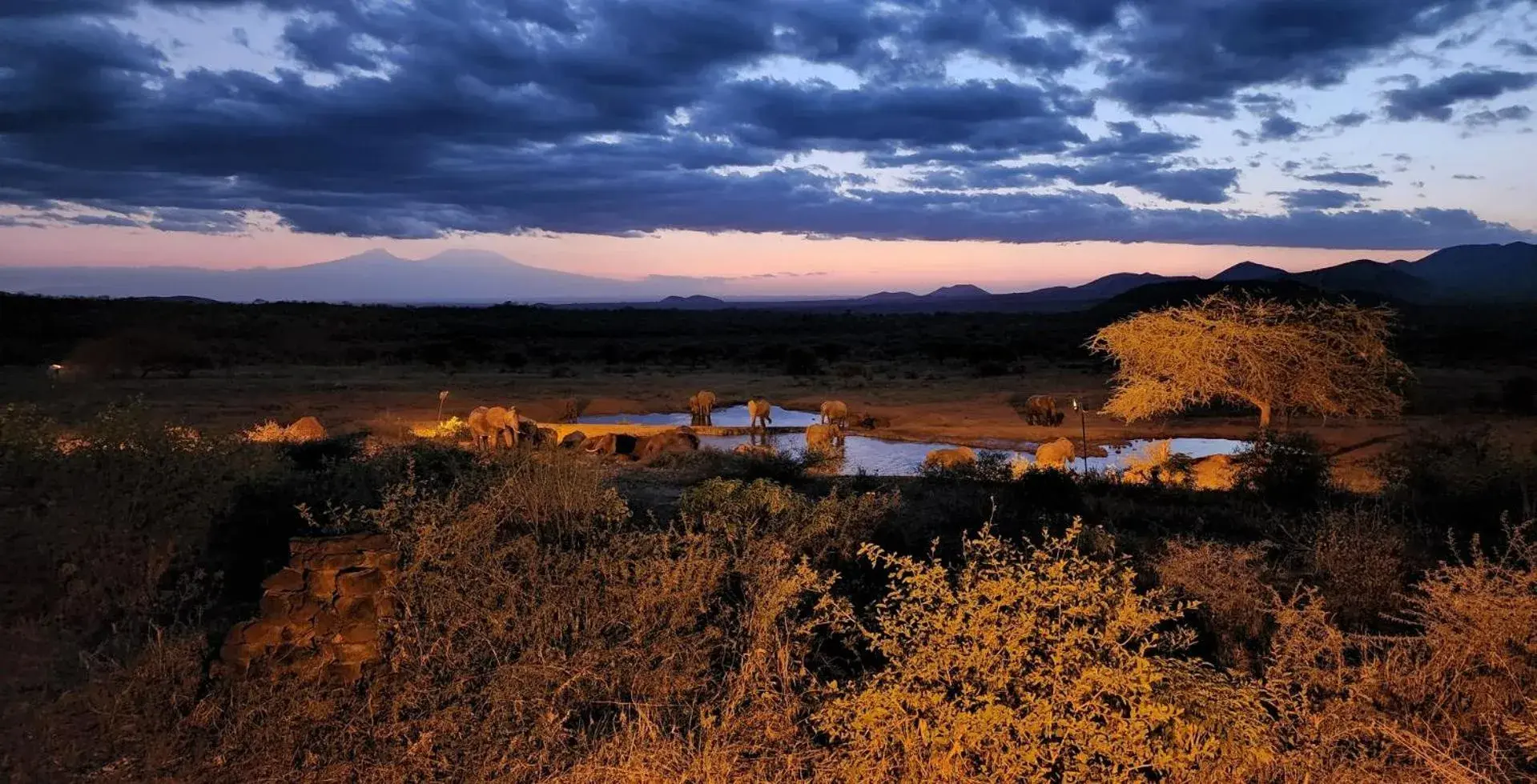 View (from property/room) in Kilaguni Serena Safari Lodge View (from property/room) in Kilaguni Serena Safari Lodge