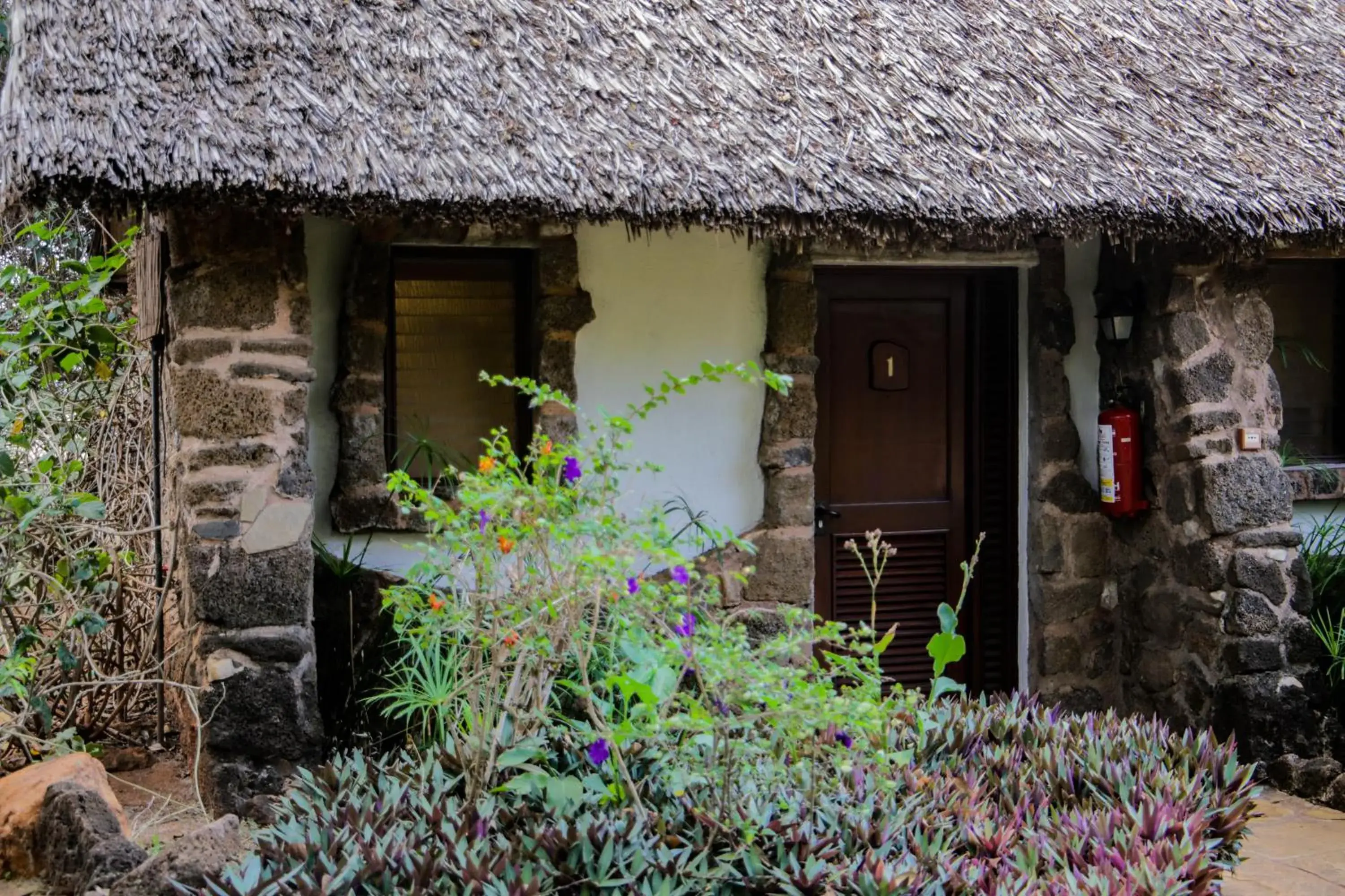 View (from property/room) in Kilaguni Serena Safari Lodge View (from property/room) in Kilaguni Serena Safari Lodge