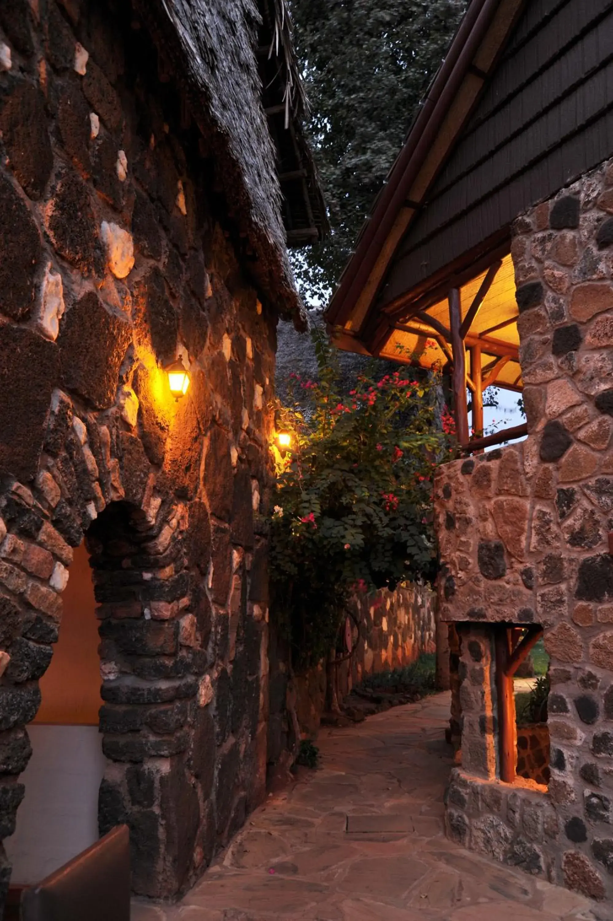 Property building in Kilaguni Serena Safari Lodge Property building in Kilaguni Serena Safari Lodge