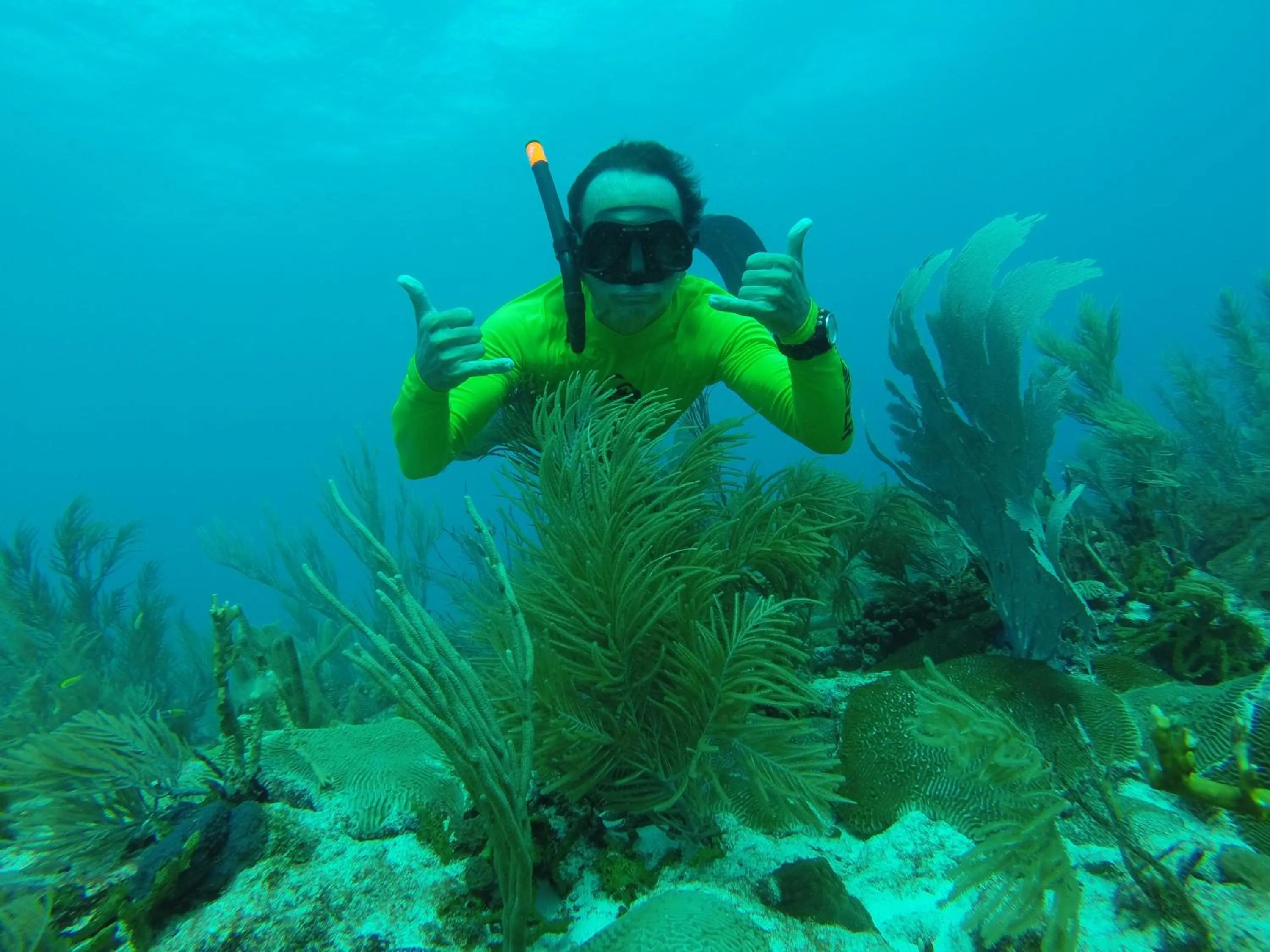 Snorkeling in Tropical Gecko Studio - Sweet Jewel Apartments