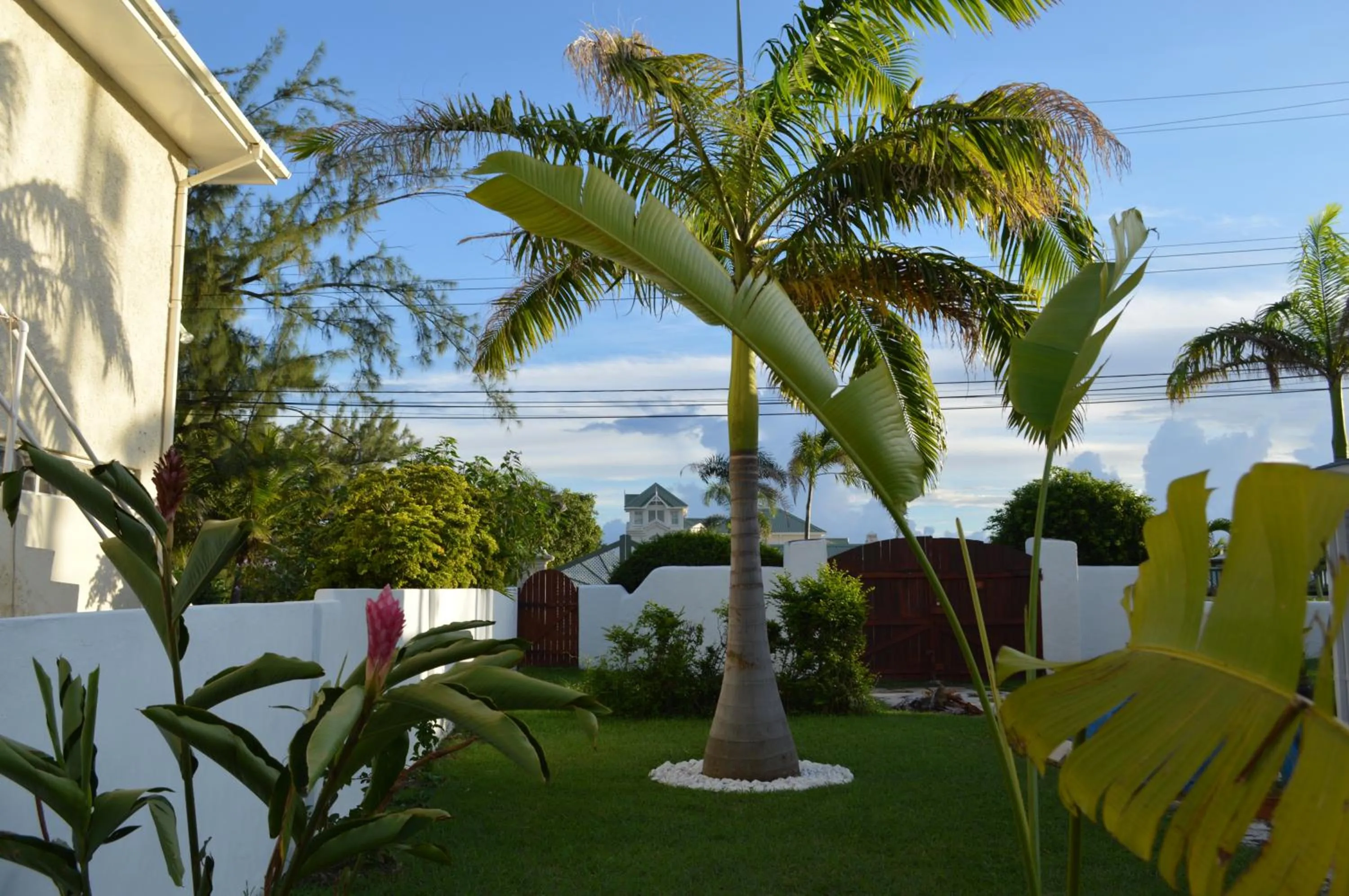 Garden in Tropical Gecko Studio - Sweet Jewel Apartments