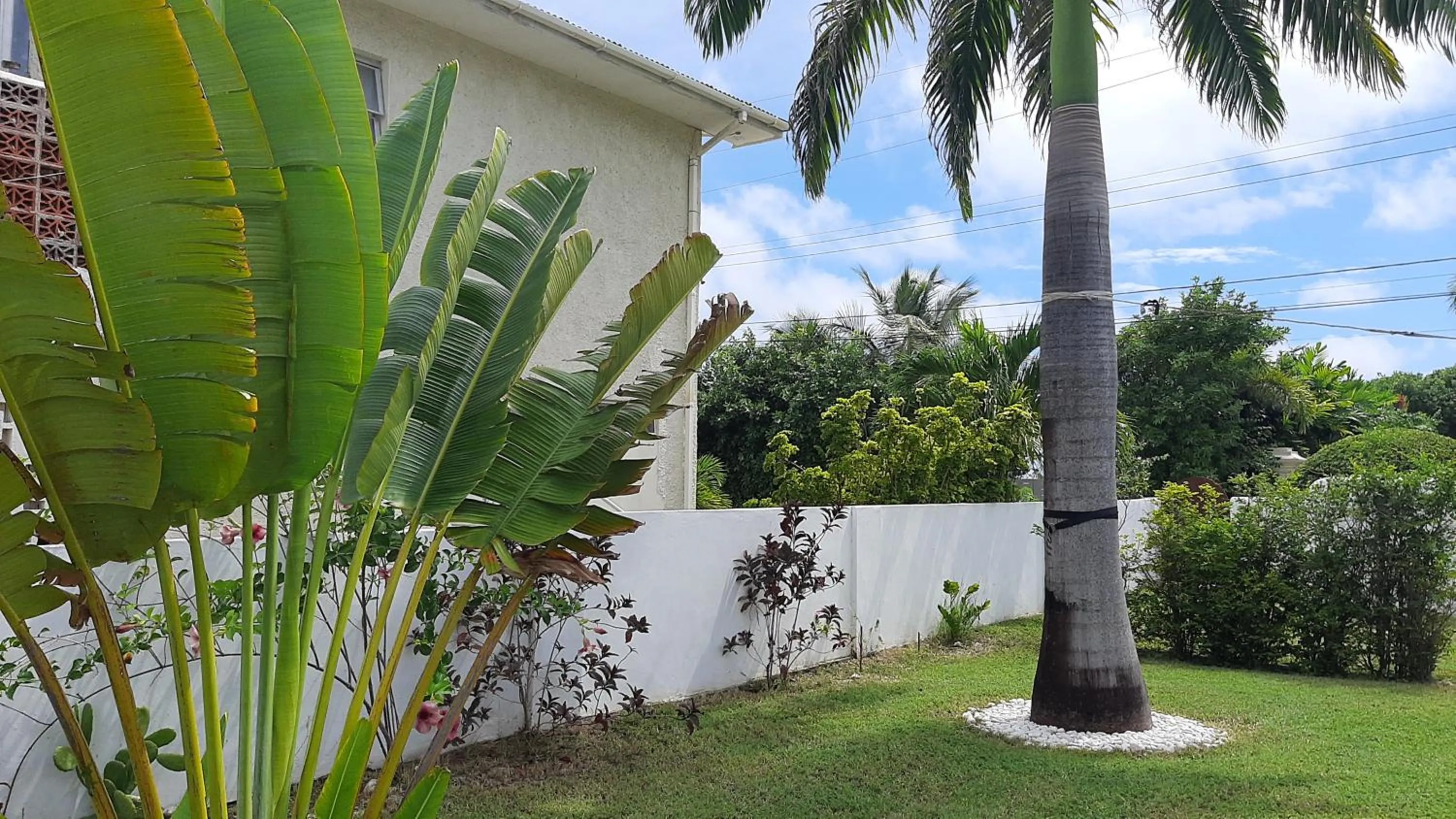 Garden in Tropical Gecko Studio - Sweet Jewel Apartments