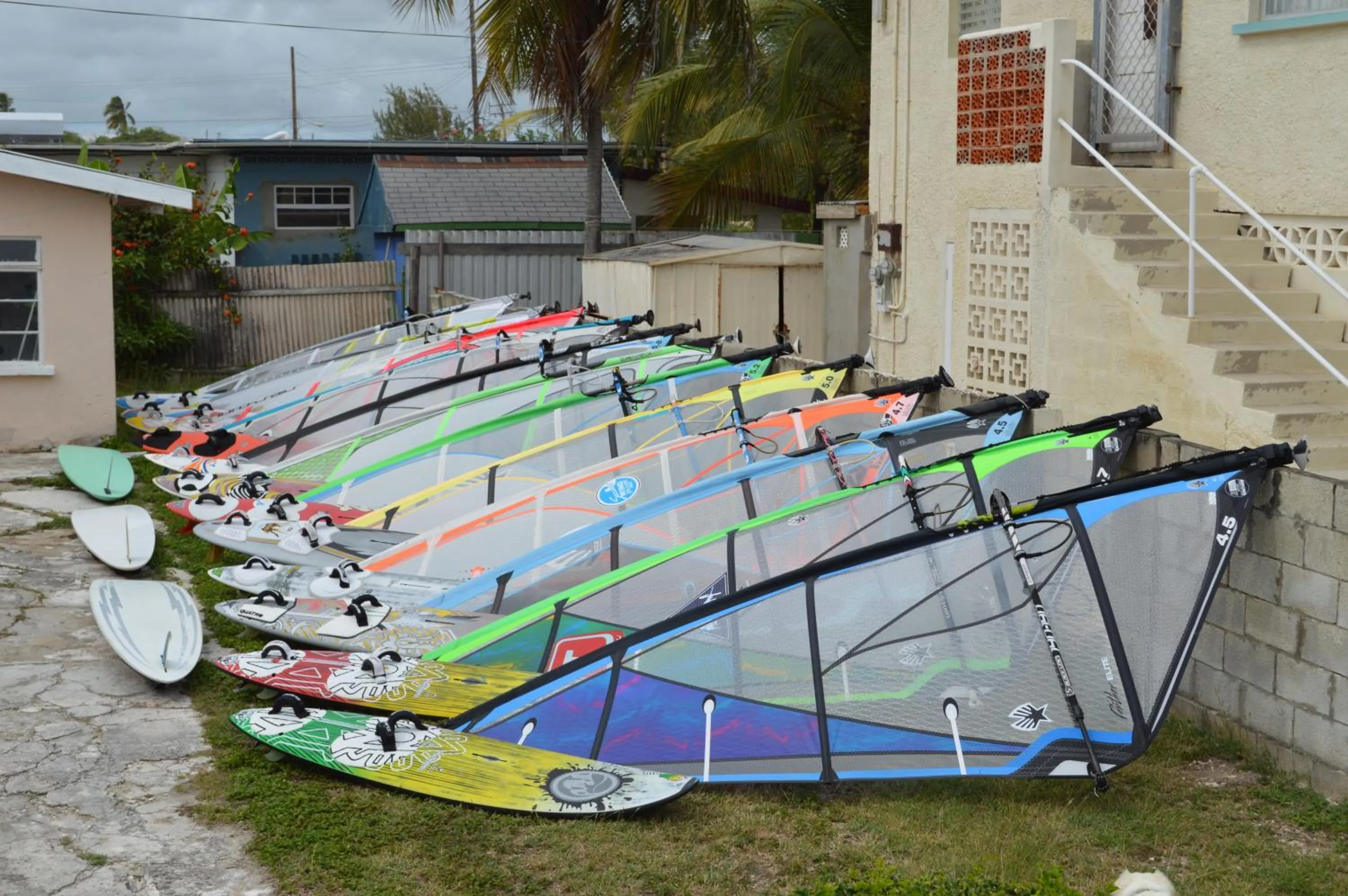 Windsurfing in Tropical Gecko Studio - Sweet Jewel Apartments