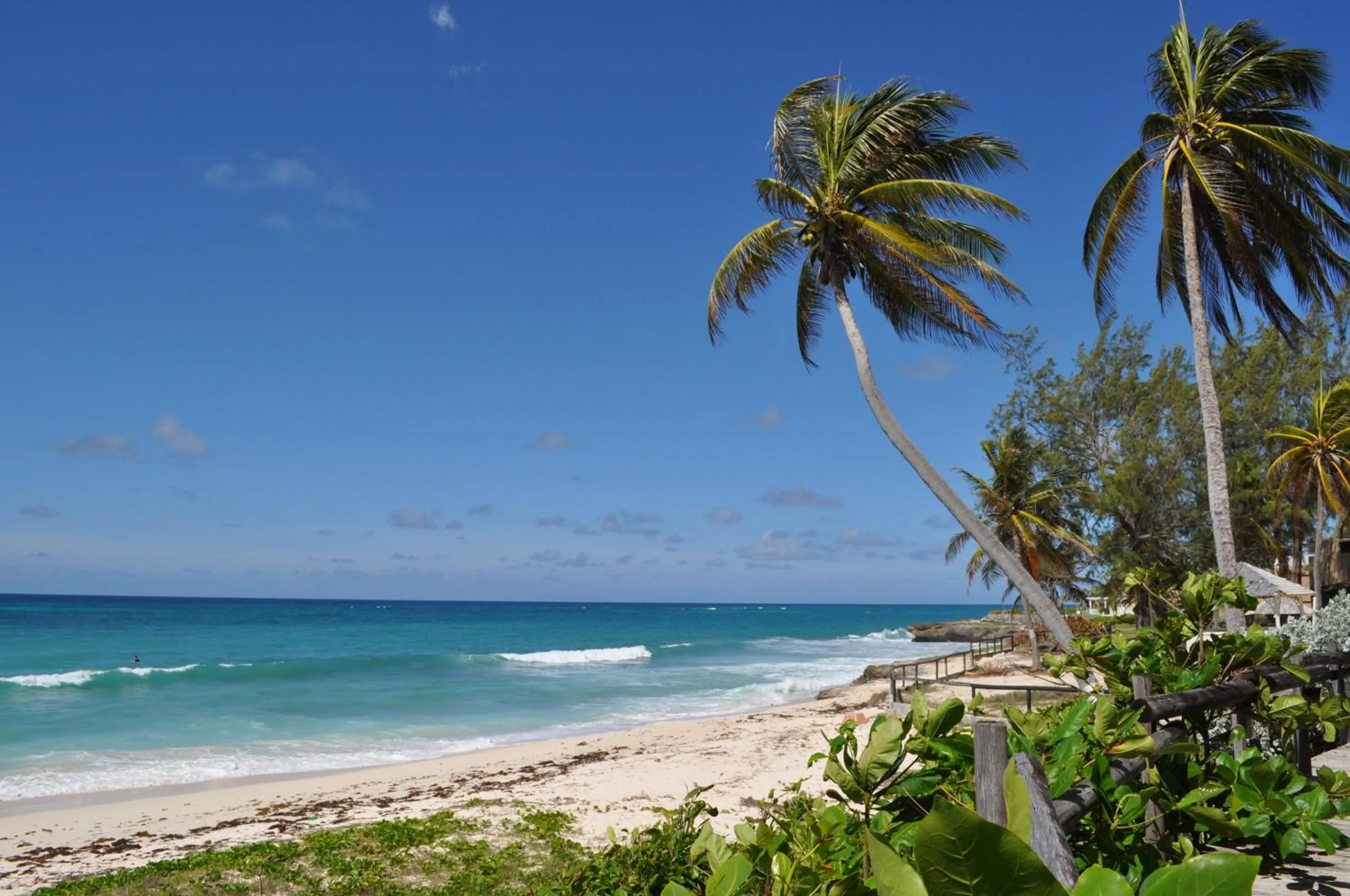 Beach in Tropical Gecko Studio - Sweet Jewel Apartments