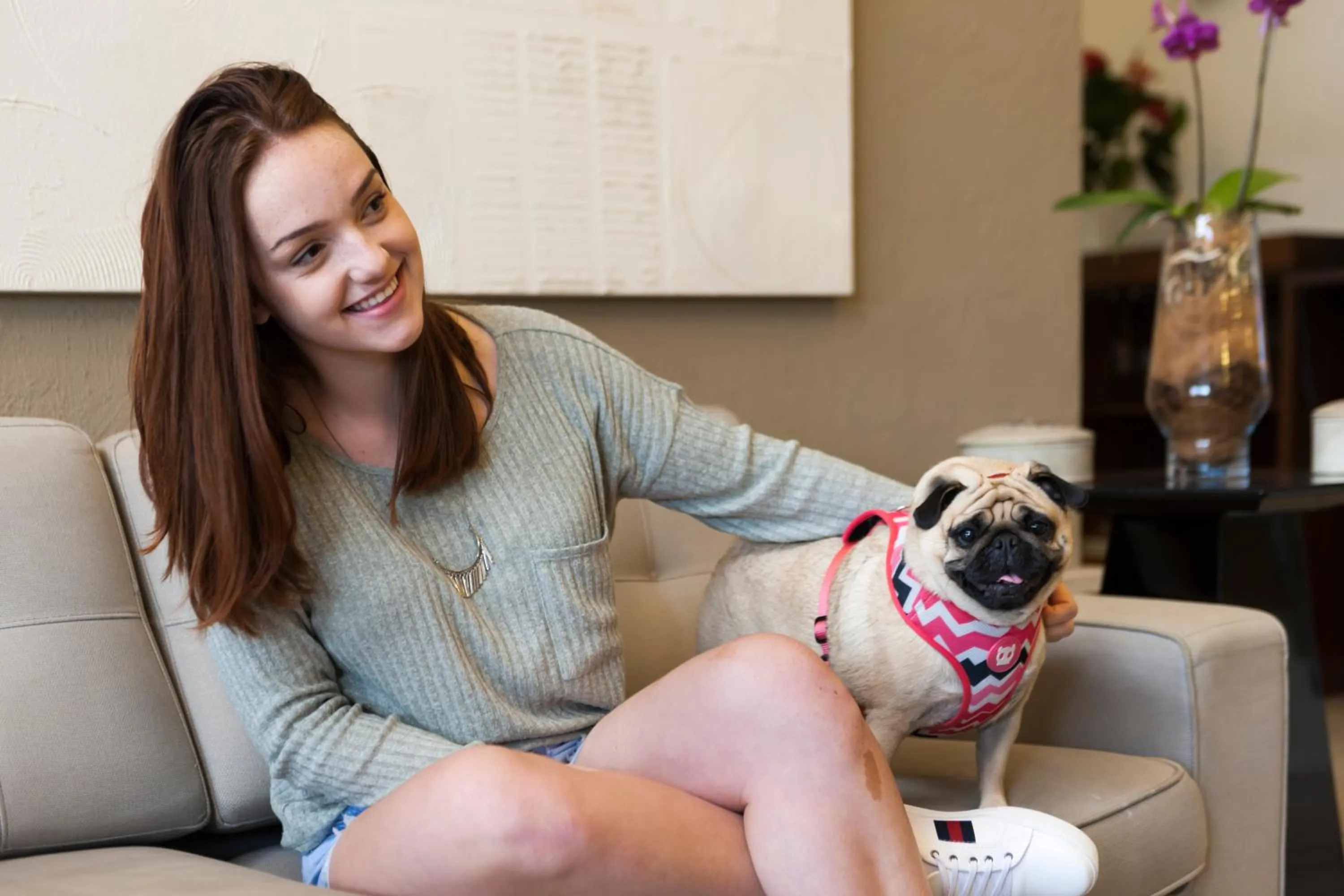 Pets in Matiz Jaguariúna