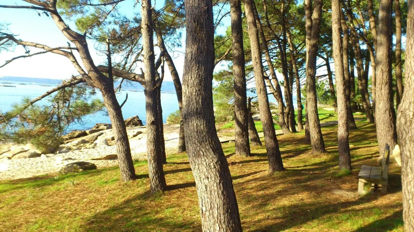 Natural landscape in Hotel Torres Touriño