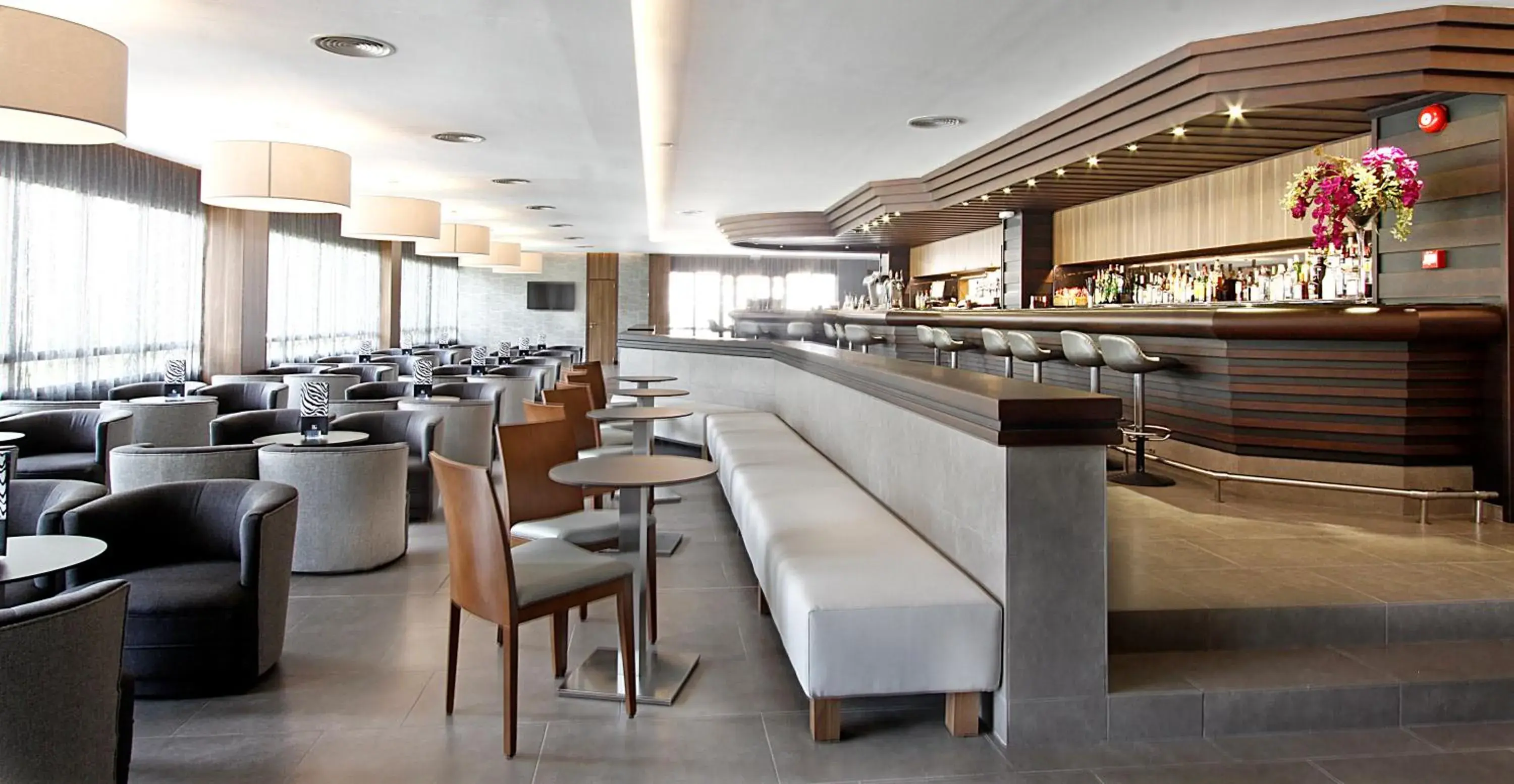 Lounge or bar in BG Caballero Lounge or bar in BG Caballero