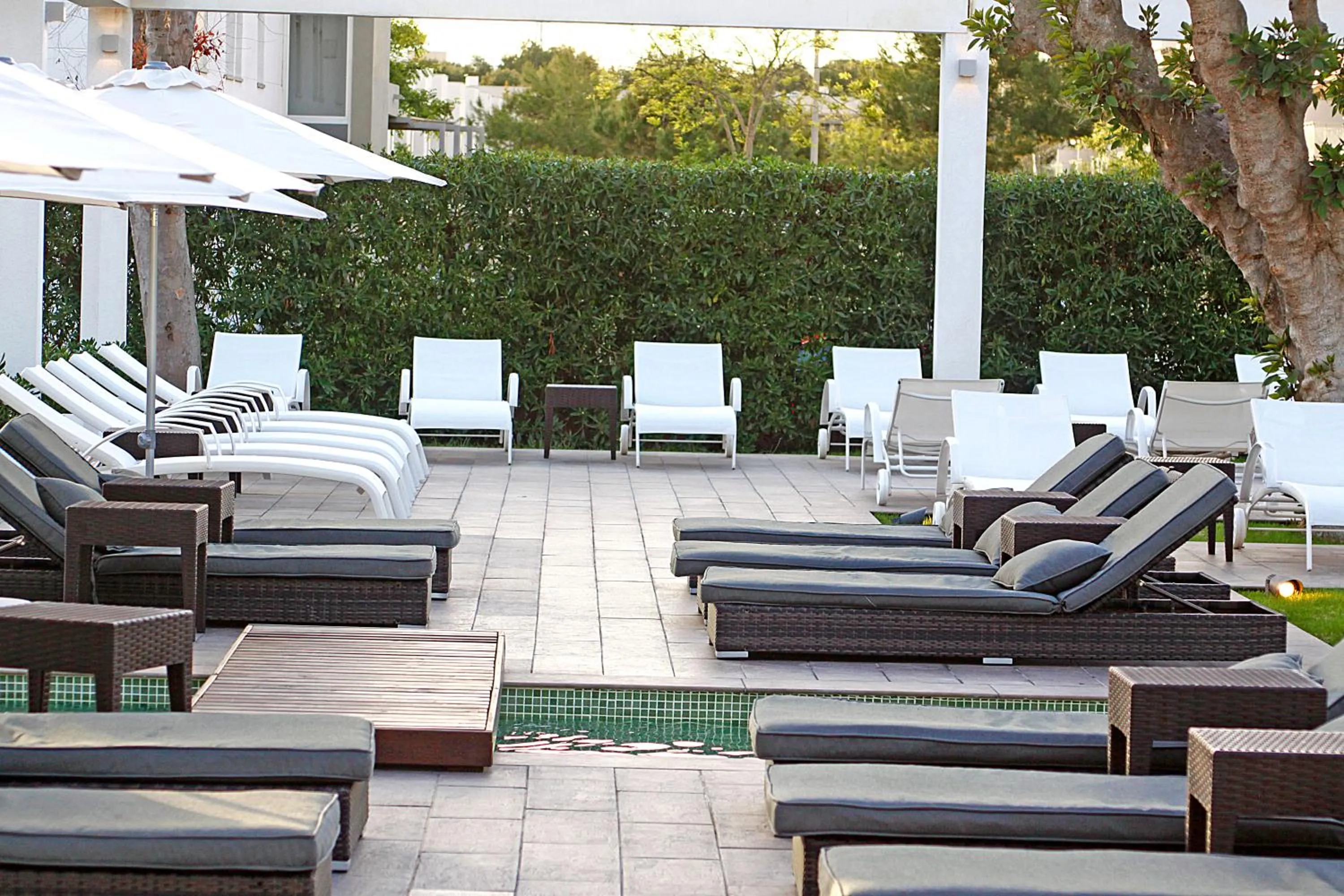 Solarium in BG Caballero