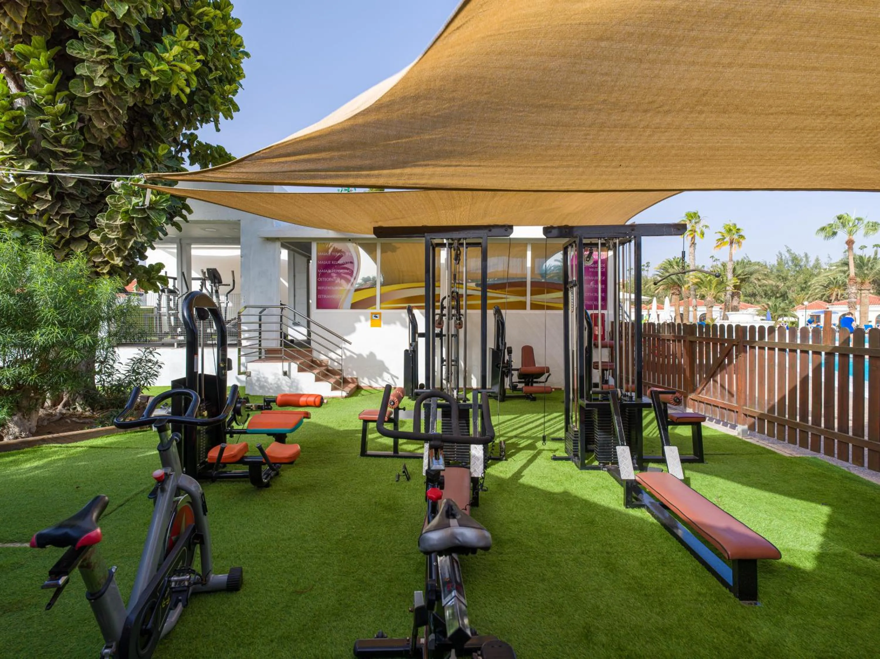 Activities in eó Suite Hotel Jardin Dorado