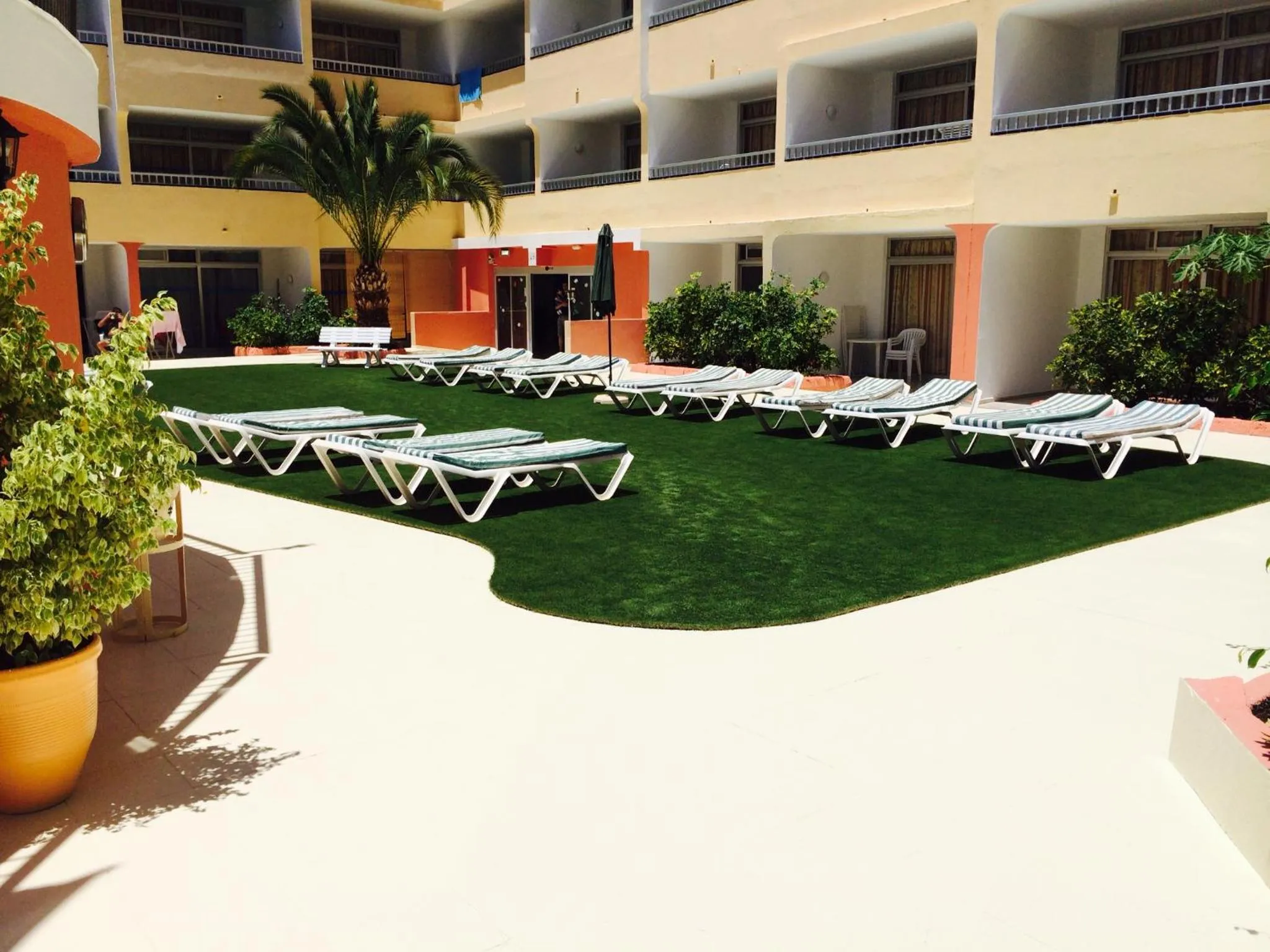 Patio in Apartamentos Amazonas