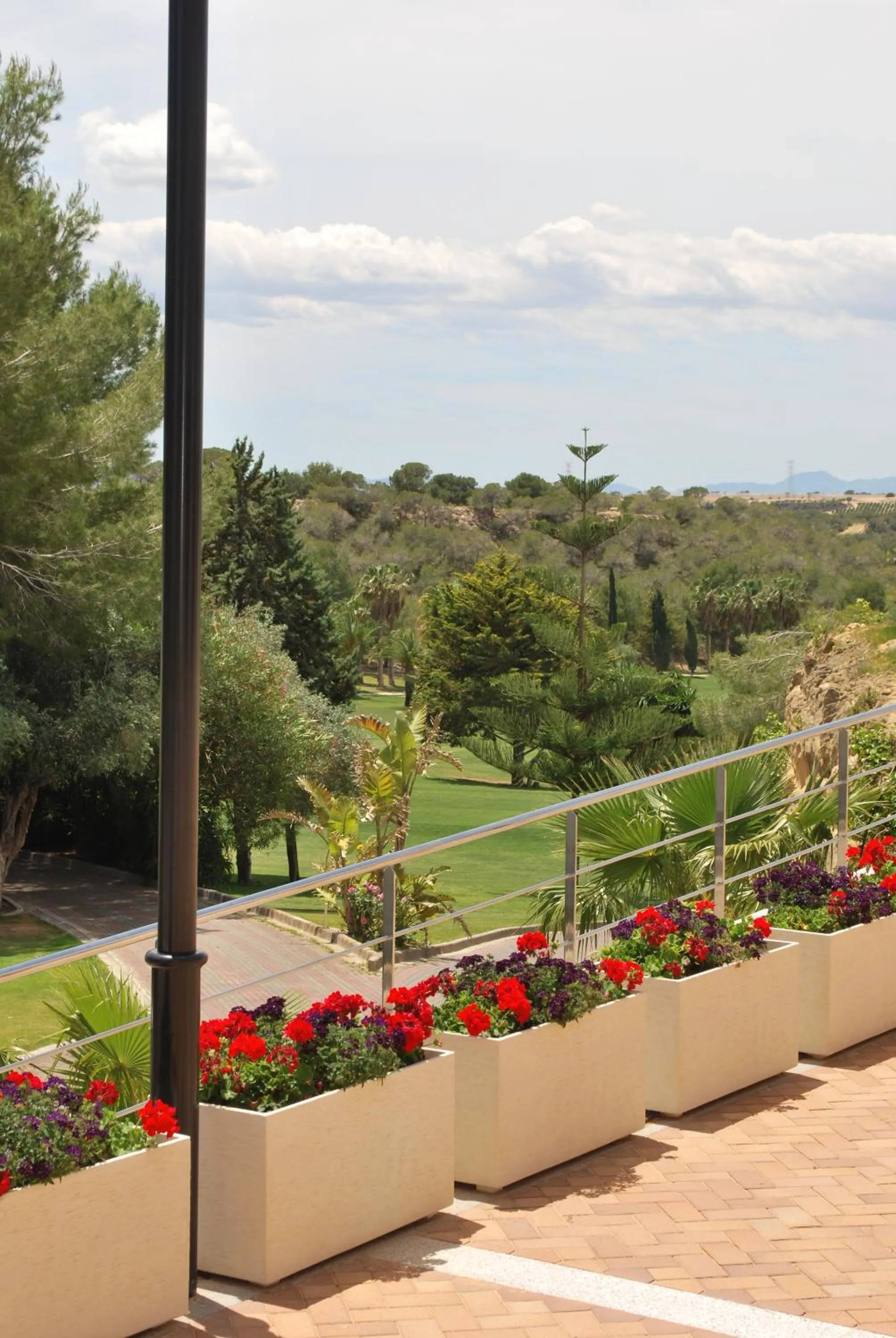 Natural landscape in Hotel Golf Campoamor