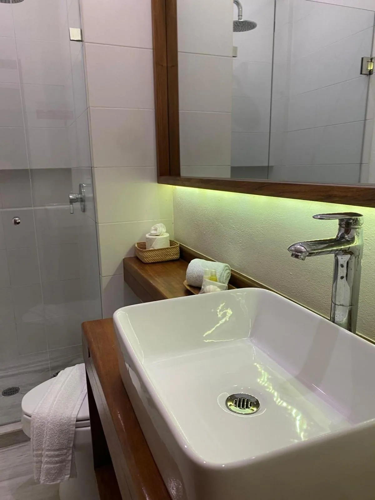 Toilet in Hotel Pelecanus Suites Holbox