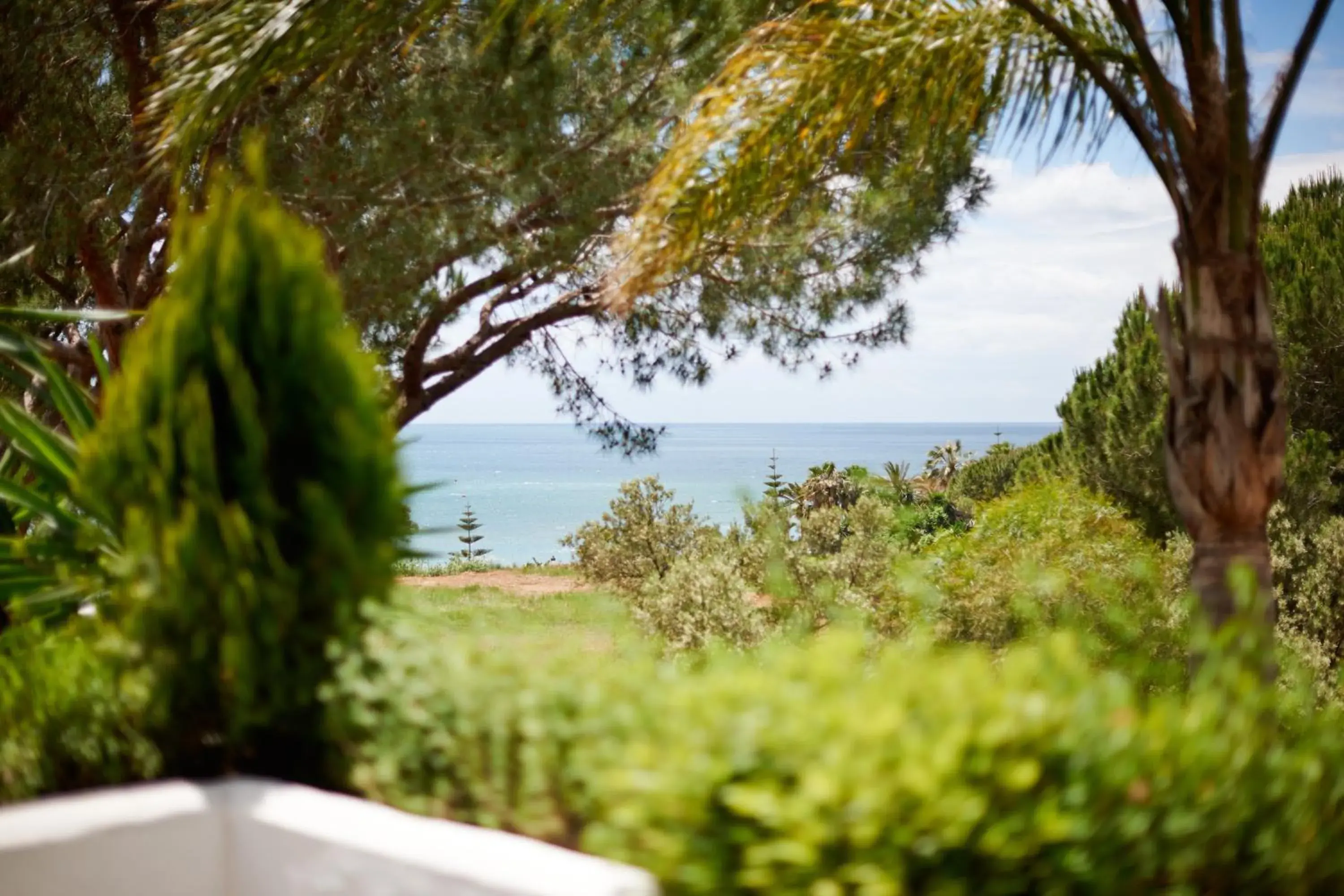 View (from property/room) in Marbella Club Hotel · Golf Resort & Spa View (from property/room) in Marbella Club Hotel · Golf Resort & Spa