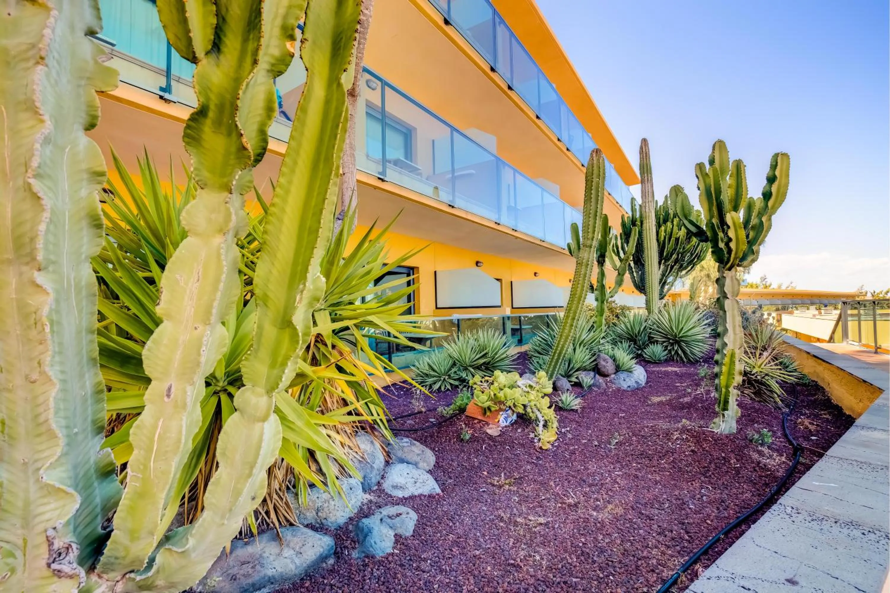 SBH Club Paraiso Playa