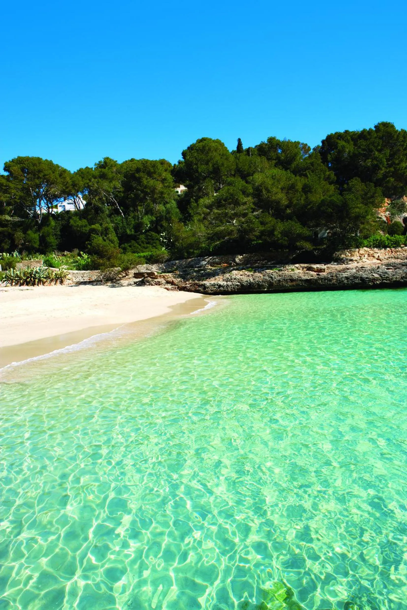 Area and facilities in Hotel Cala d'Or Playa