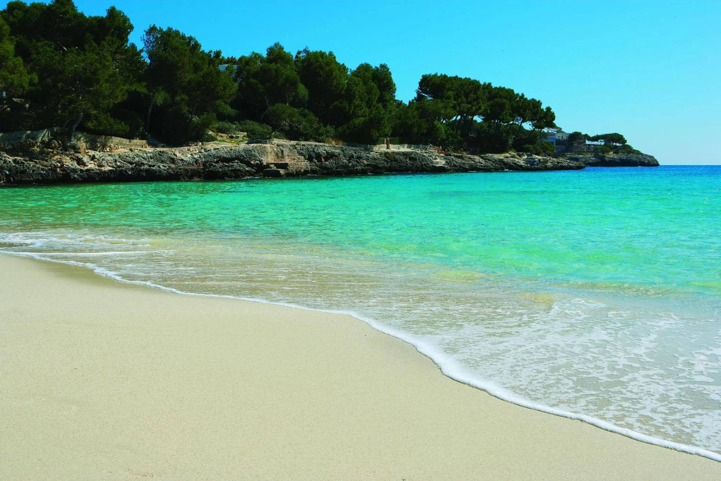 Area and facilities in Hotel Cala d'Or Playa