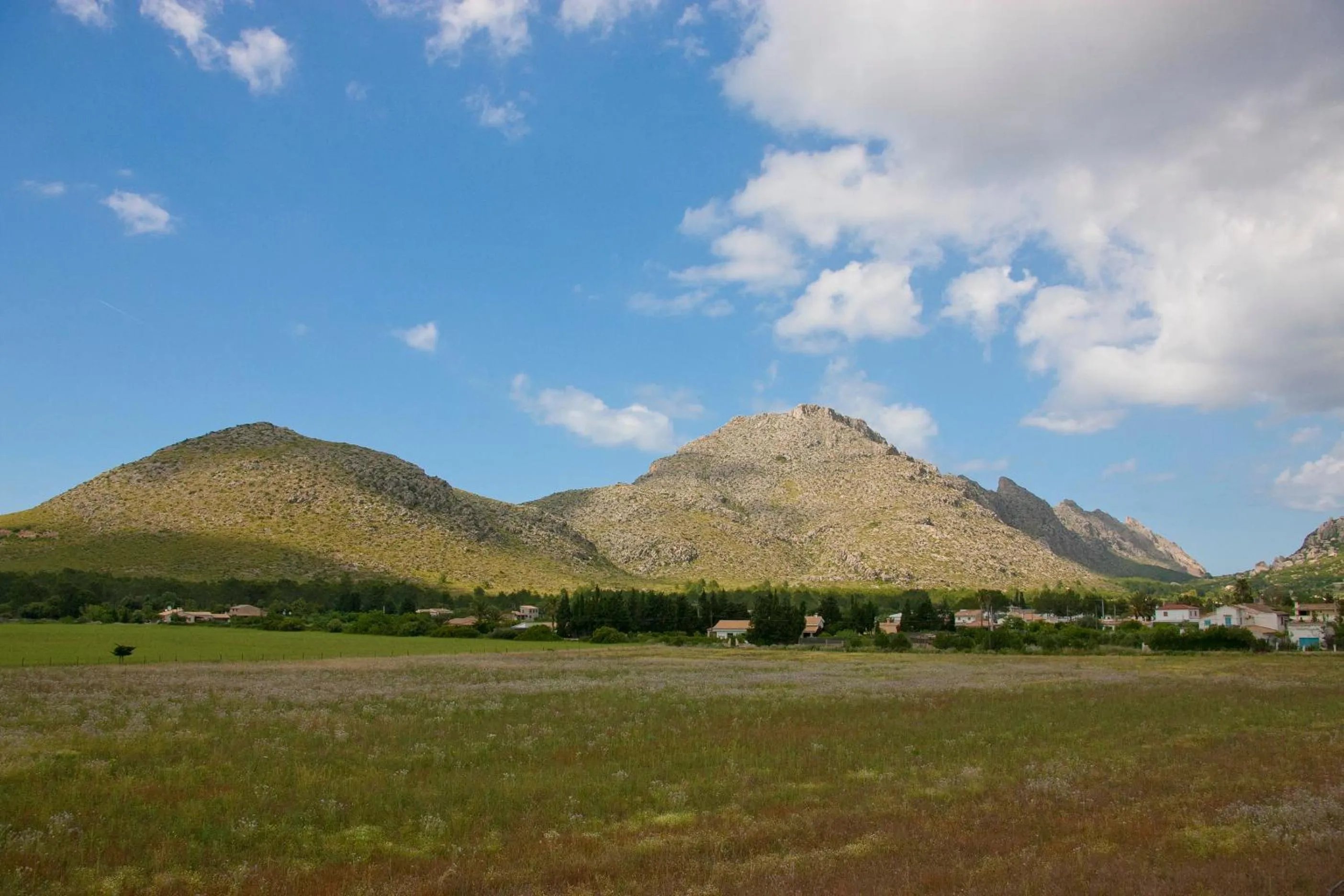 Area and facilities in Aparthotel Duva & Spa