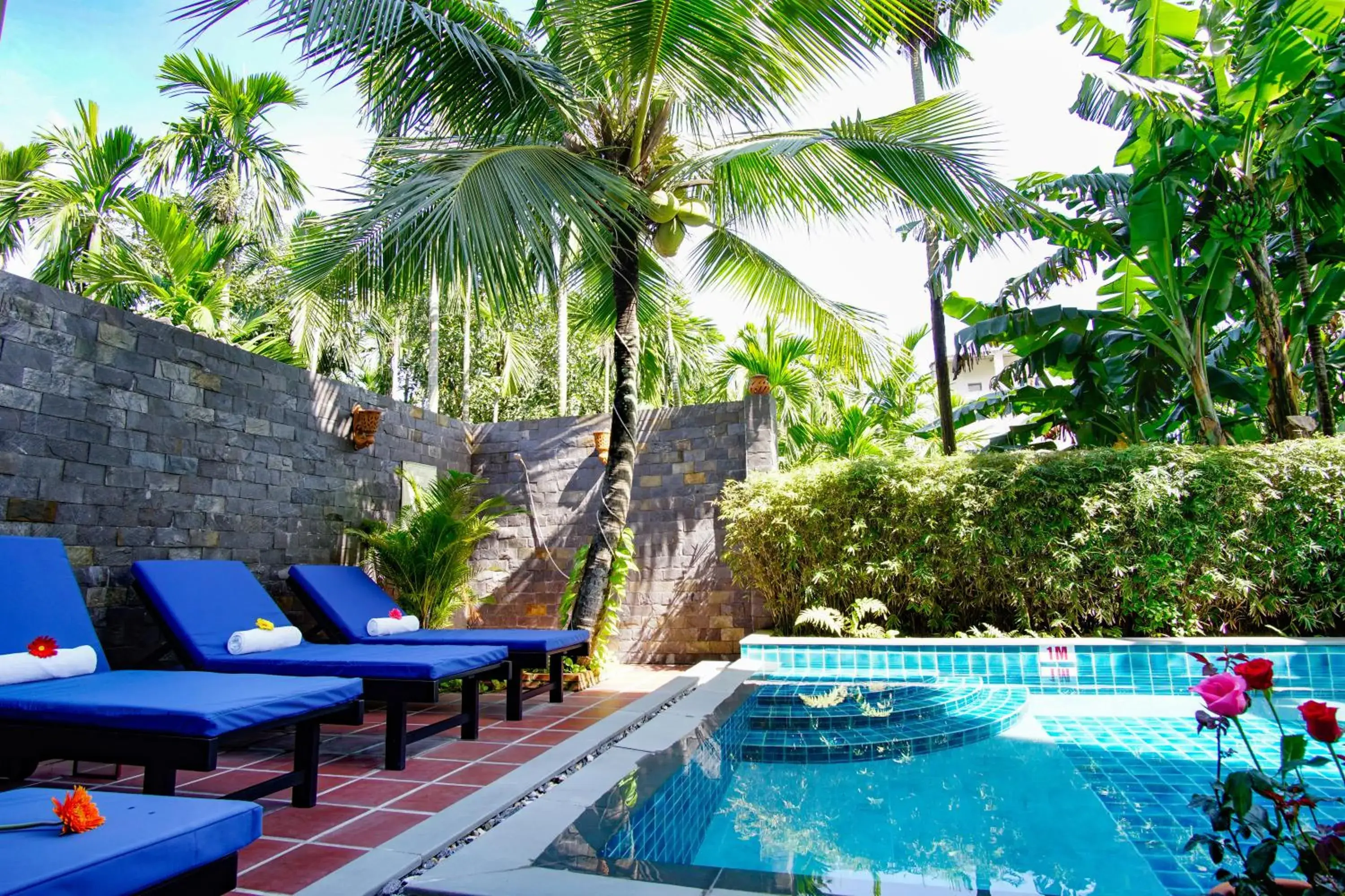 Swimming pool in Rural Scene Villa Swimming pool in Rural Scene Villa