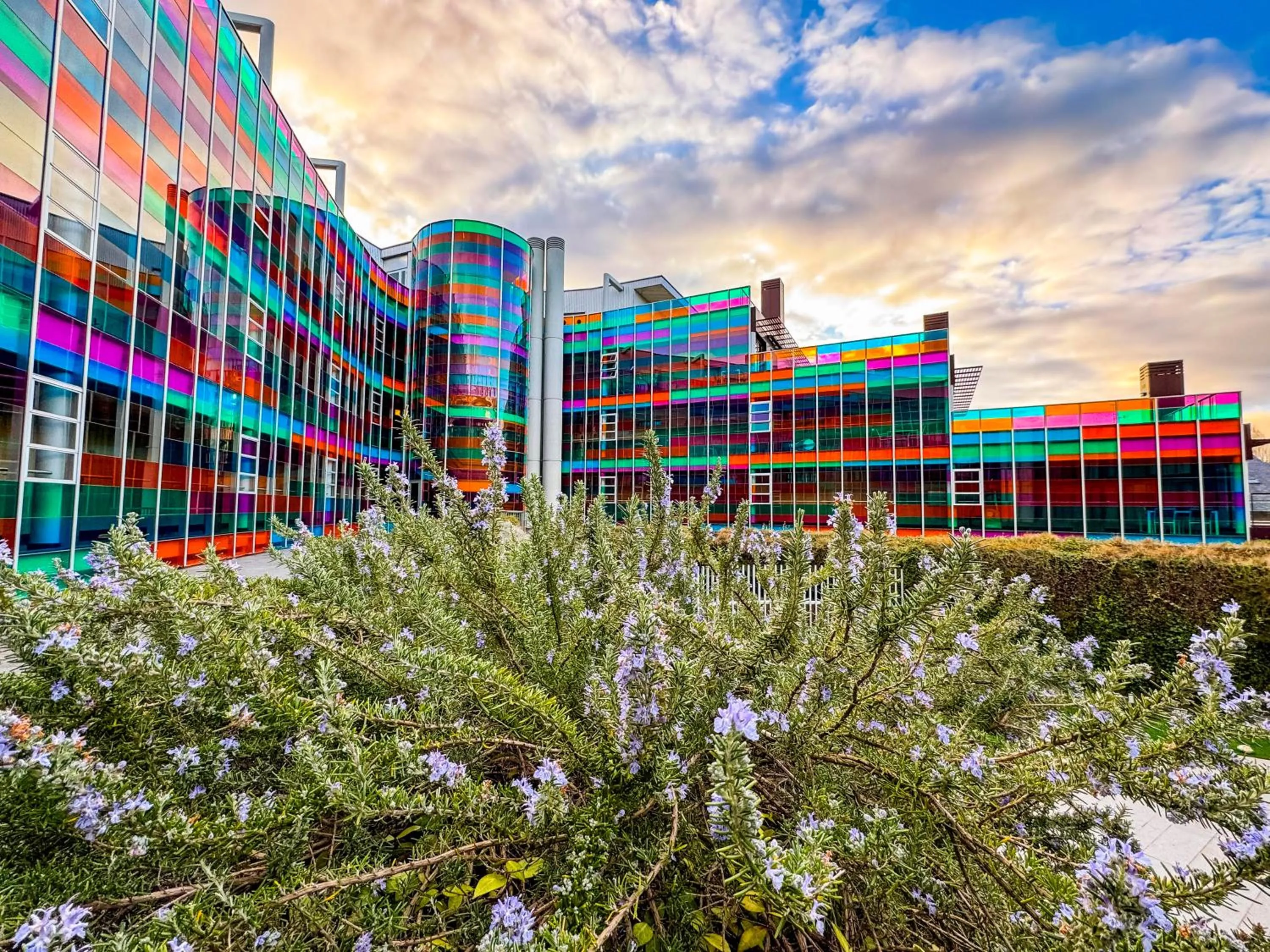 Property building in Hotel Jardines de Uleta Suites