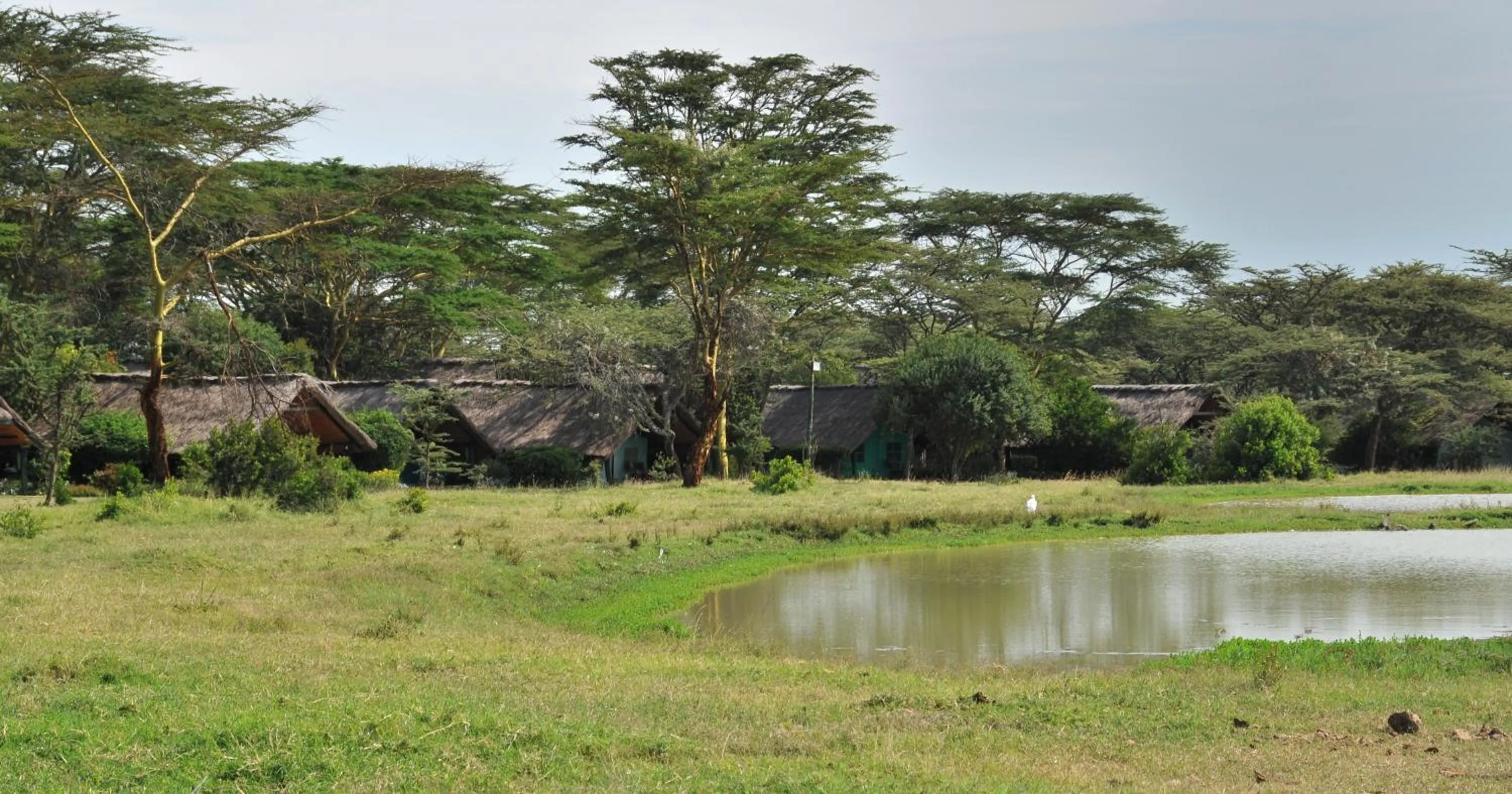 Landmark view in Sweetwaters Serena Camp