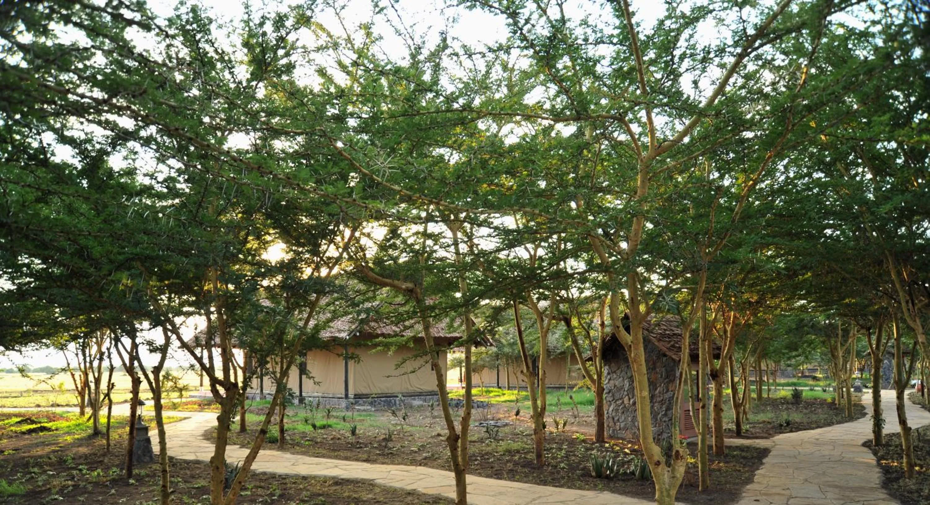 Garden in Sweetwaters Serena Camp