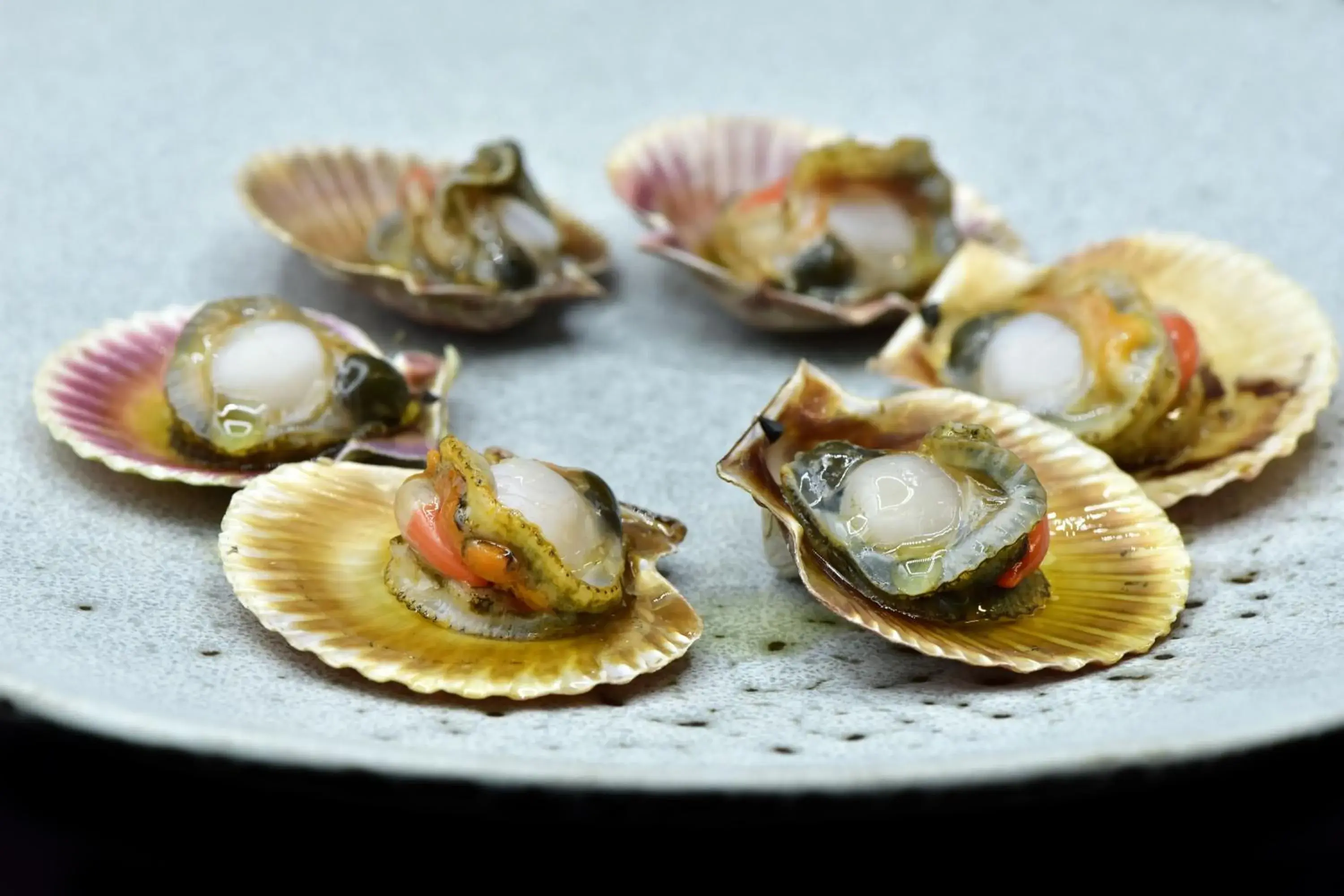 Restaurant/places to eat in Hotel Scala Restaurant/places to eat in Hotel Scala