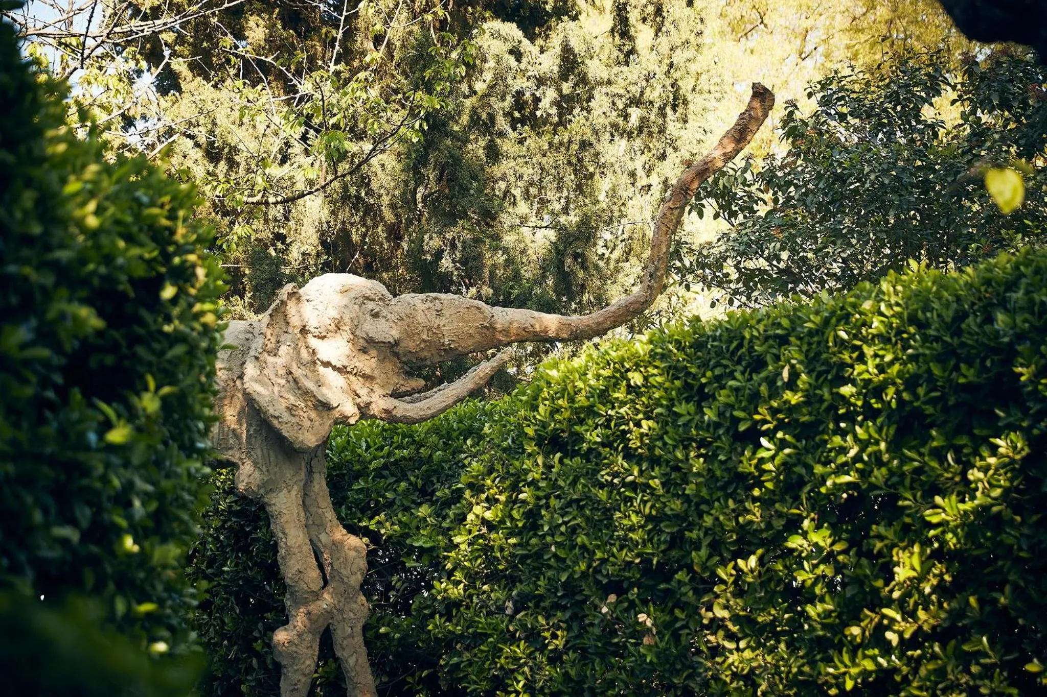 Natural landscape in Hotel Castell d'Emporda