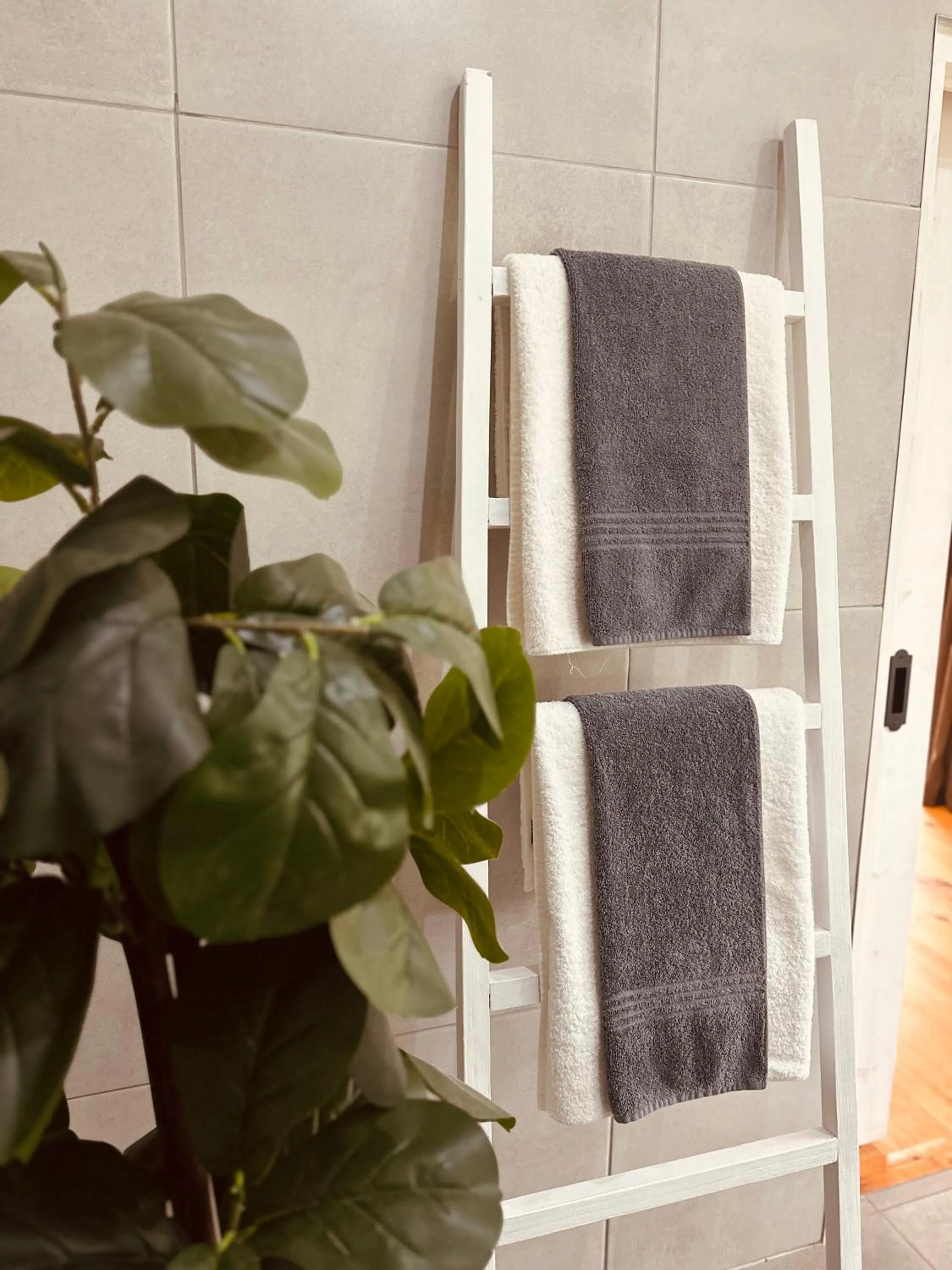 towels in Vine Guesthouse