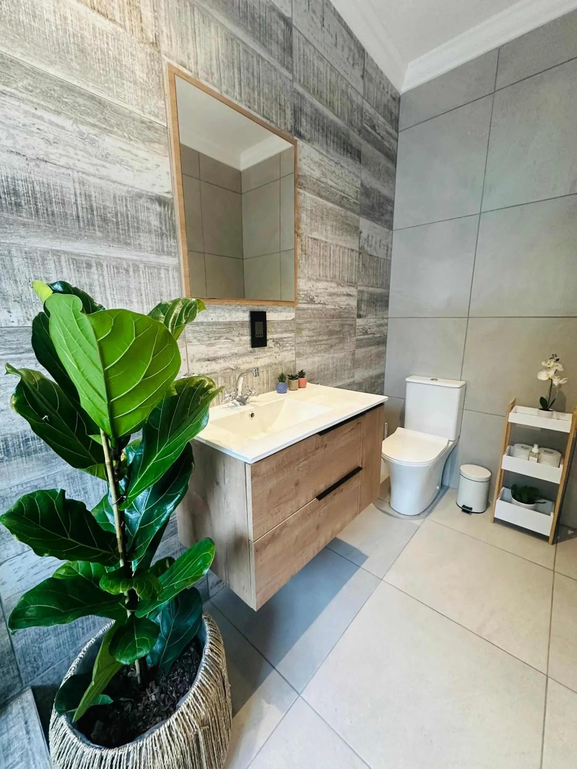 Superior Room in Vine Guesthouse Superior Room in Vine Guesthouse