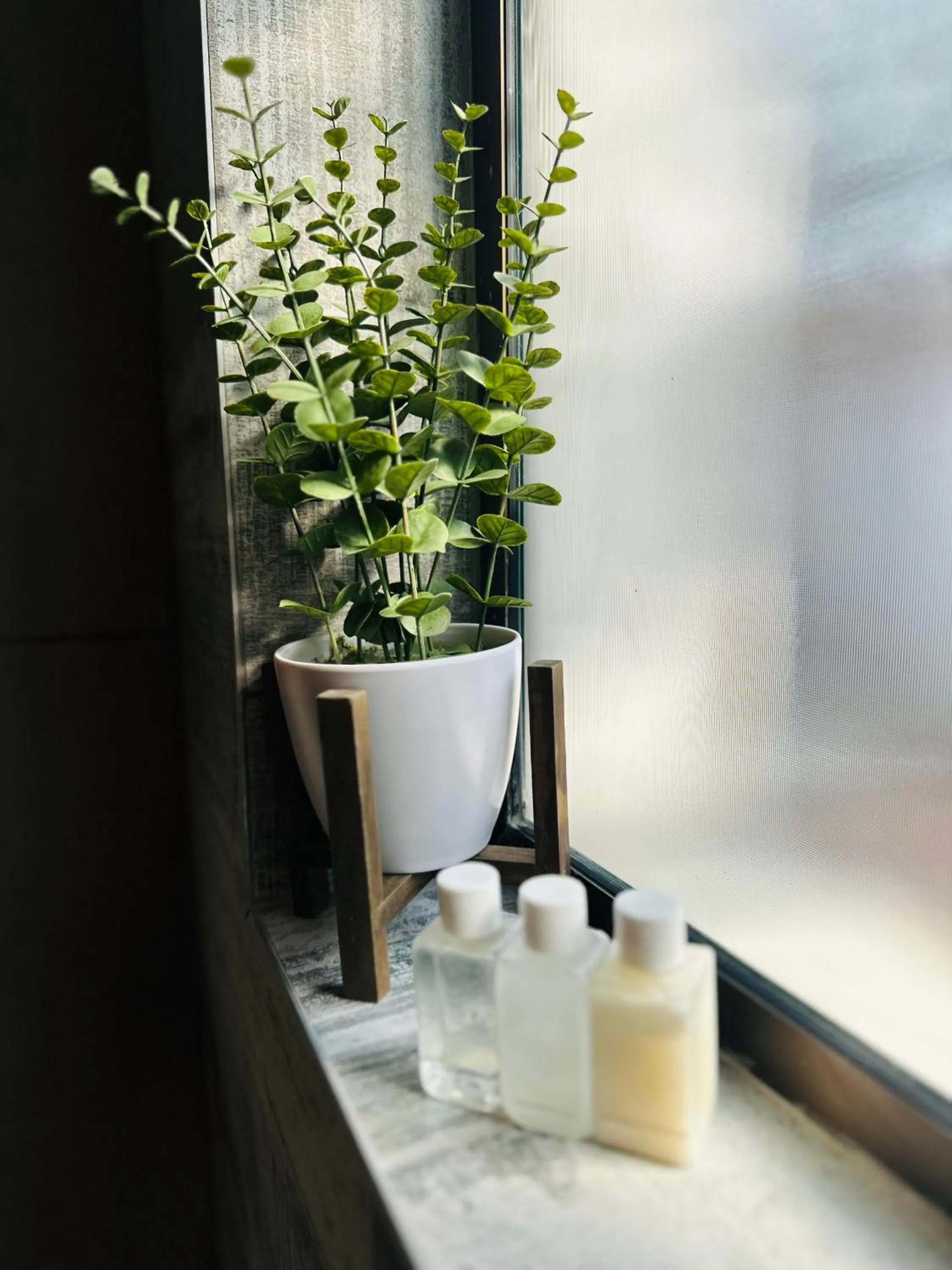 Shower in Vine Guesthouse