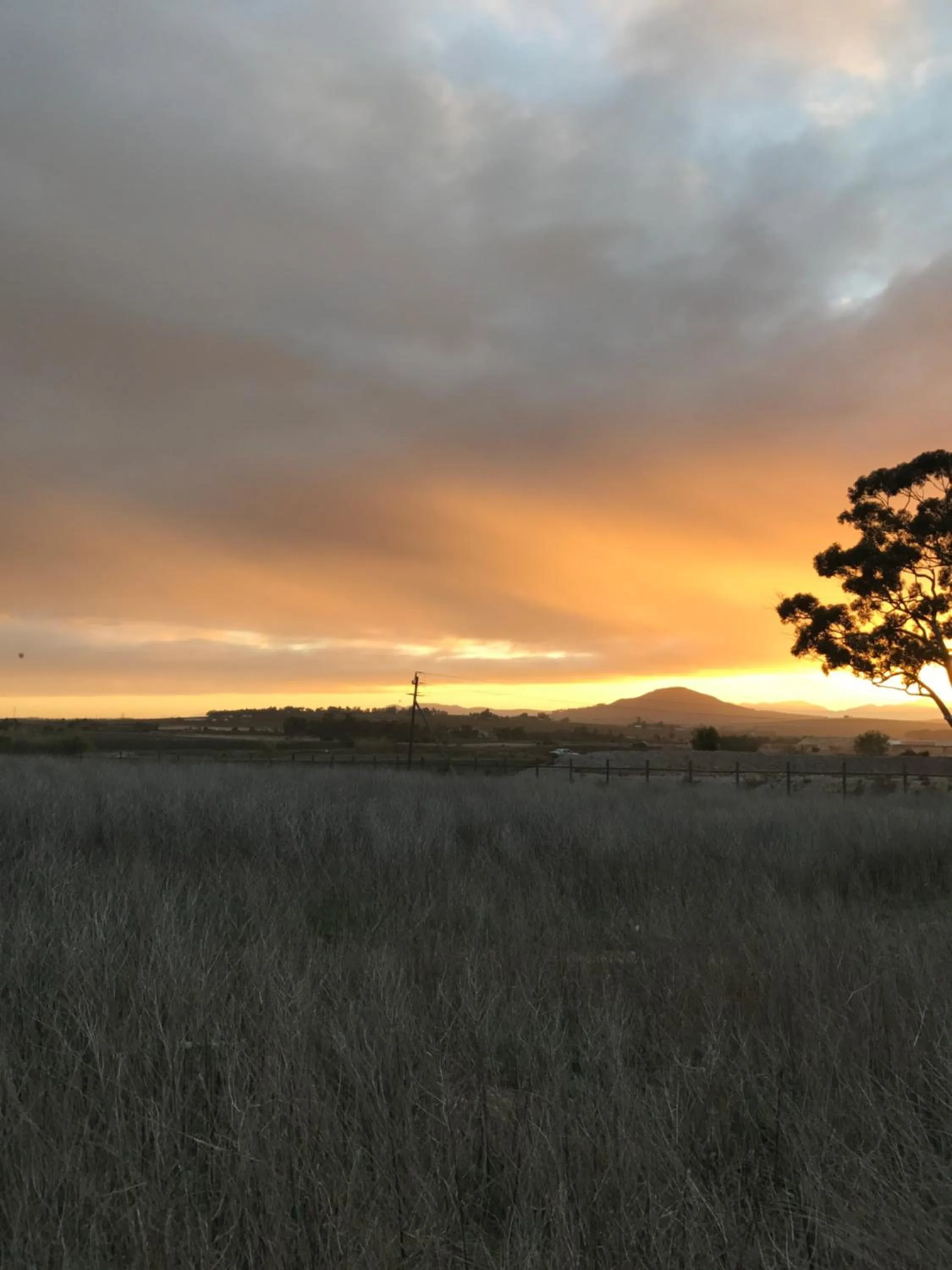 Natural landscape in Vine Guesthouse