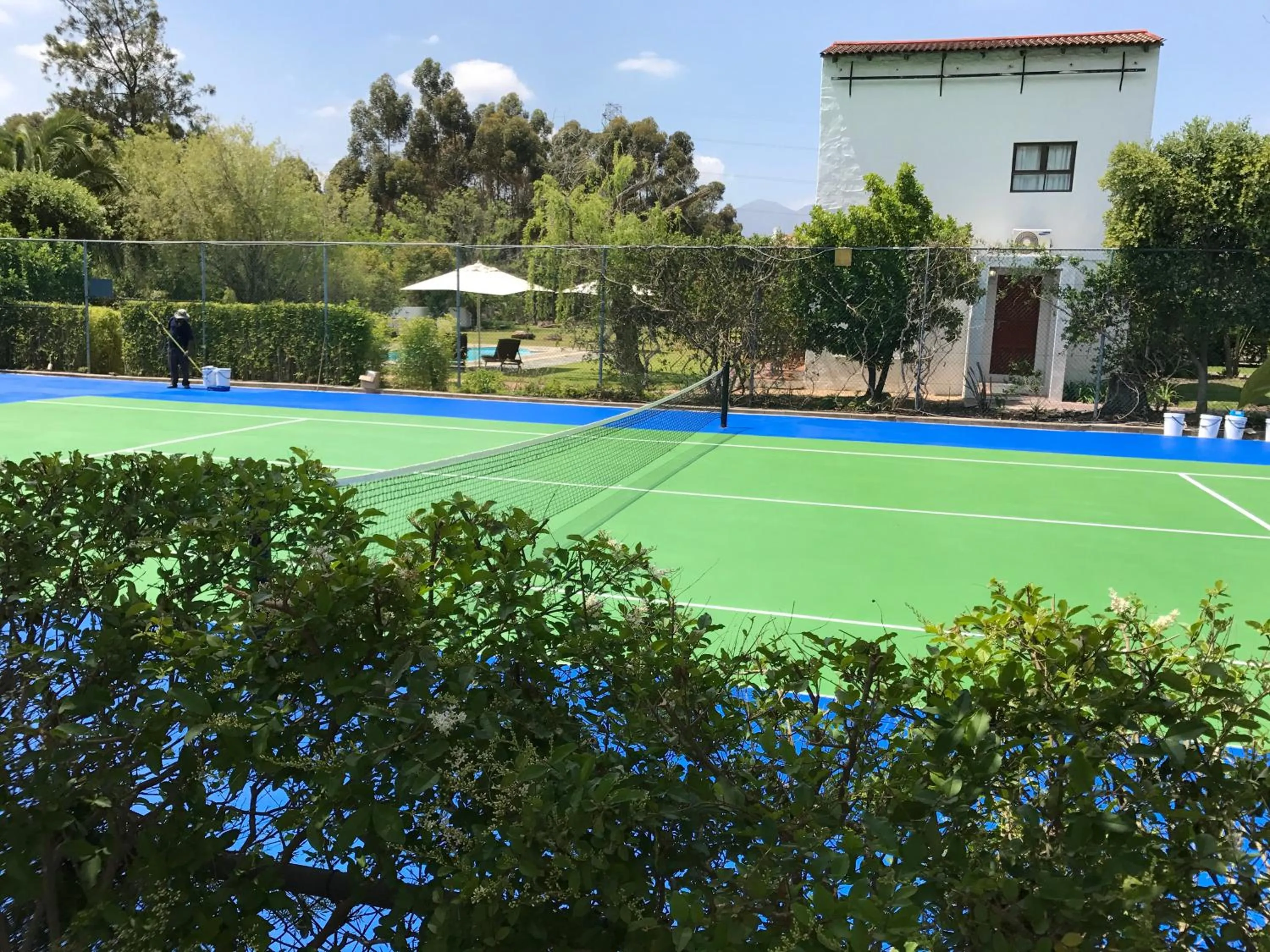 Tennis court in Vine Guesthouse