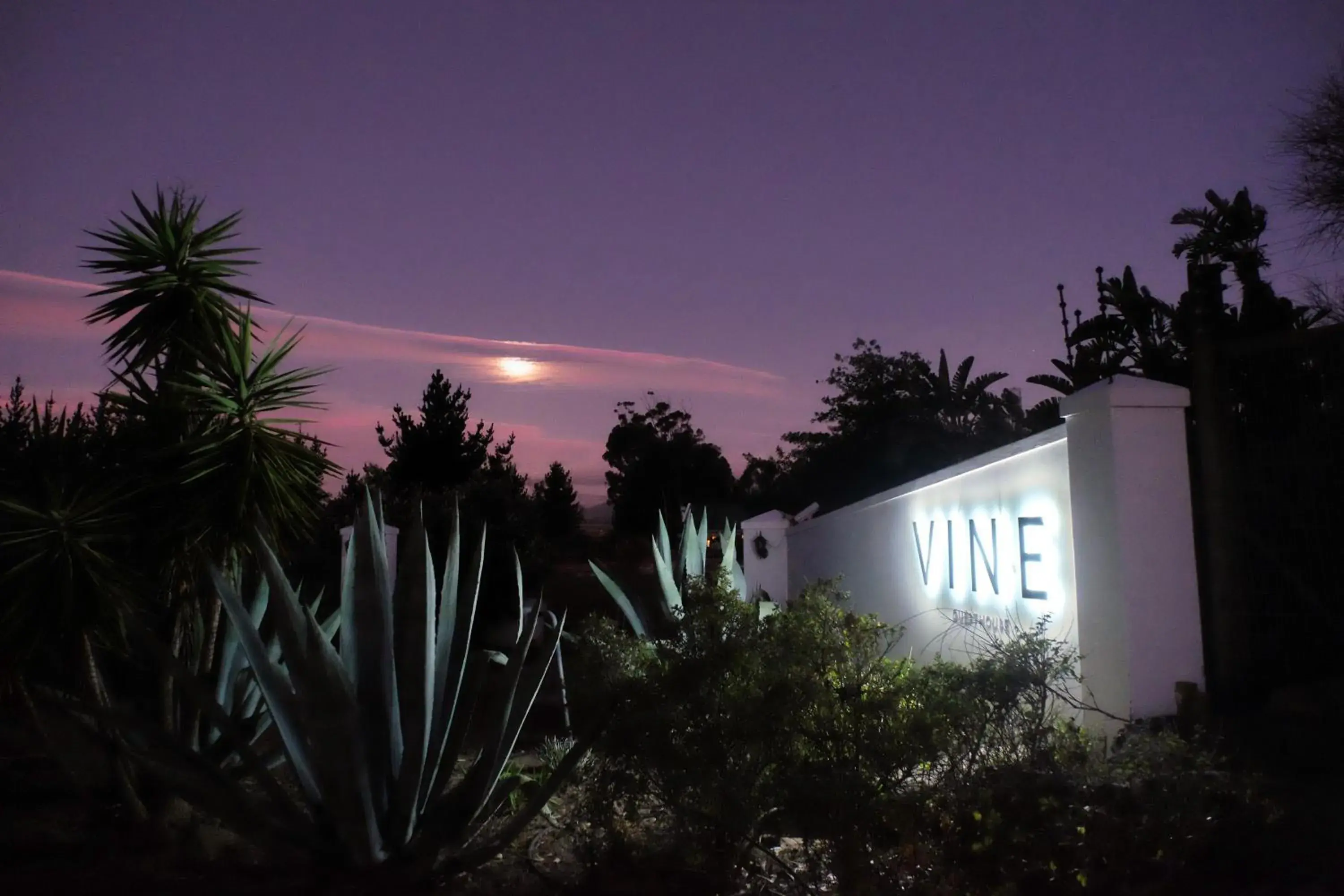 Facade/entrance in Vine Guesthouse Facade/entrance in Vine Guesthouse