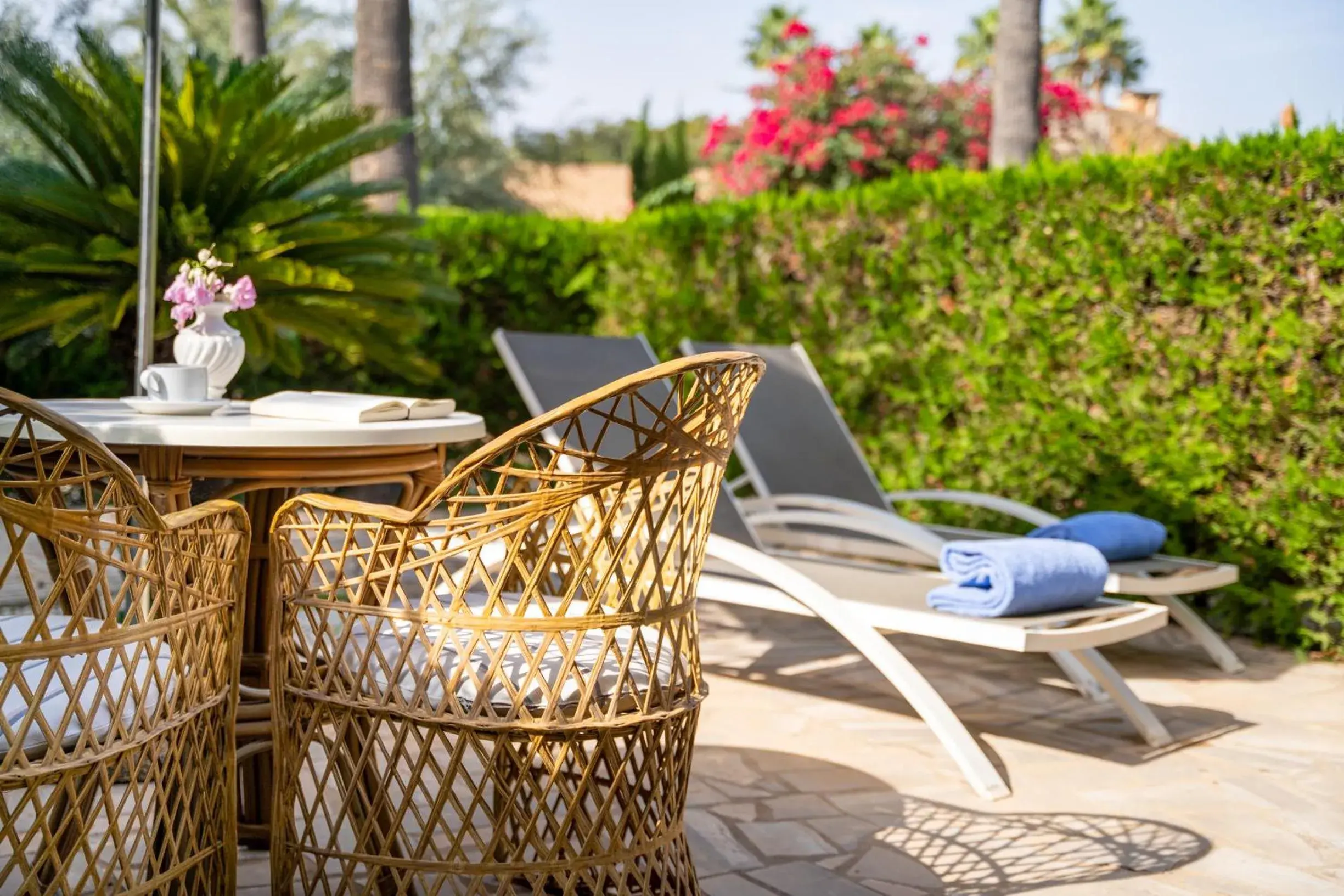 Garden view in Hotel Son Molí Country House Garden view in Hotel Son Molí Country House