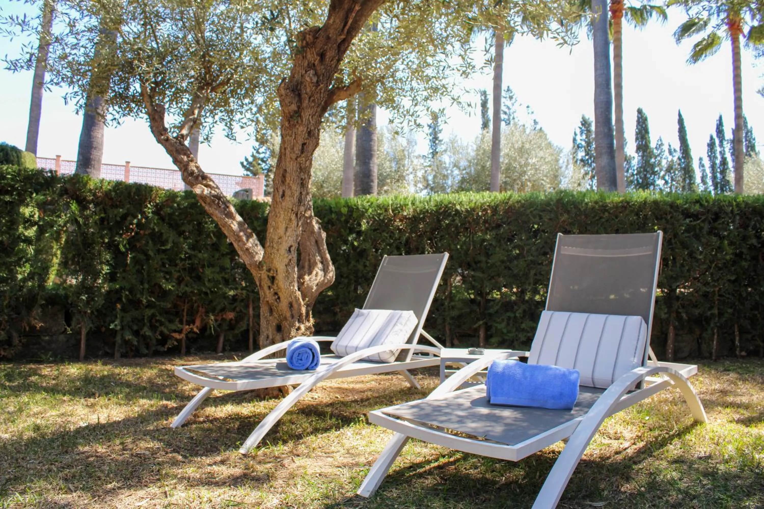 Garden in Posada d' Es Molí
