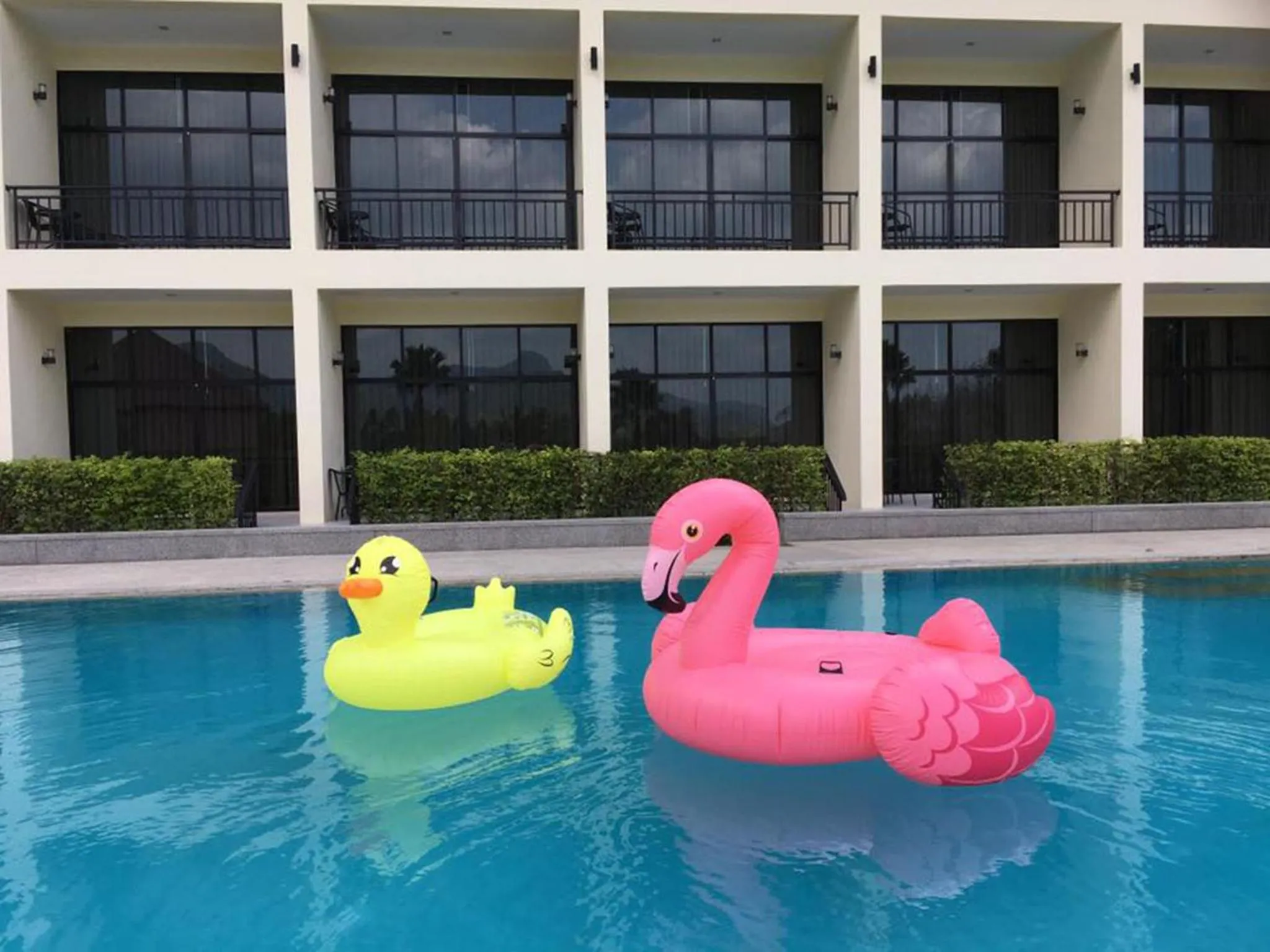 Swimming pool in Takhun Mountain View