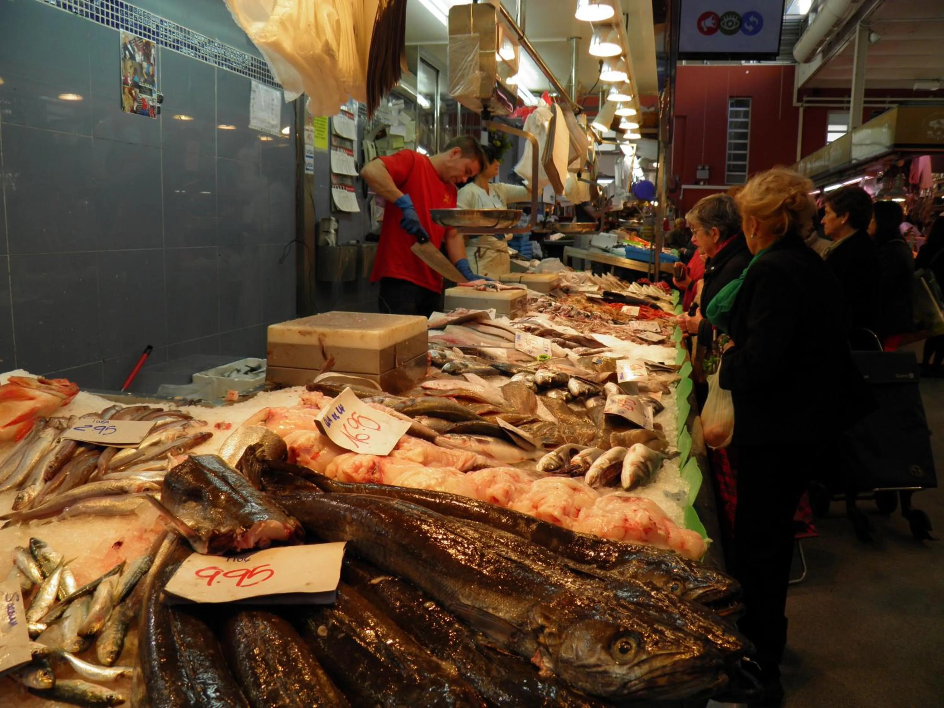 Area and facilities in Hotel Europa