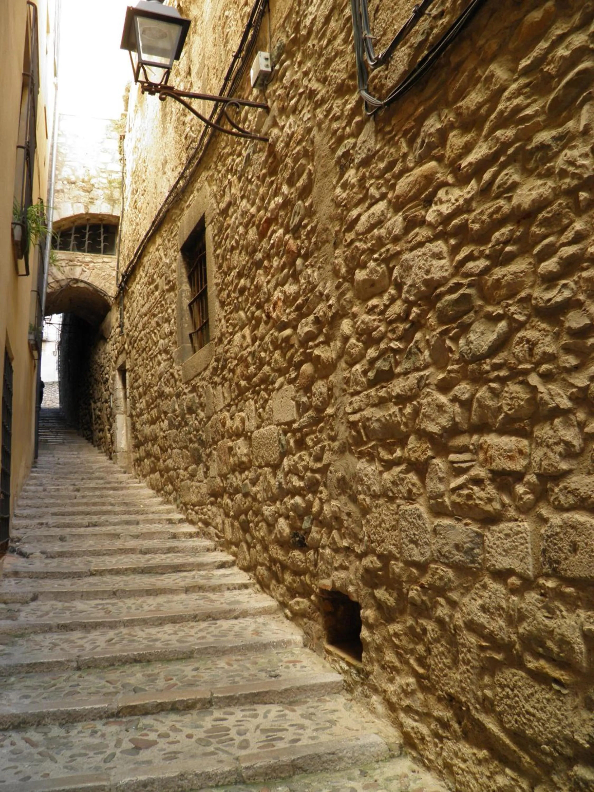 Area and facilities in Hotel Europa