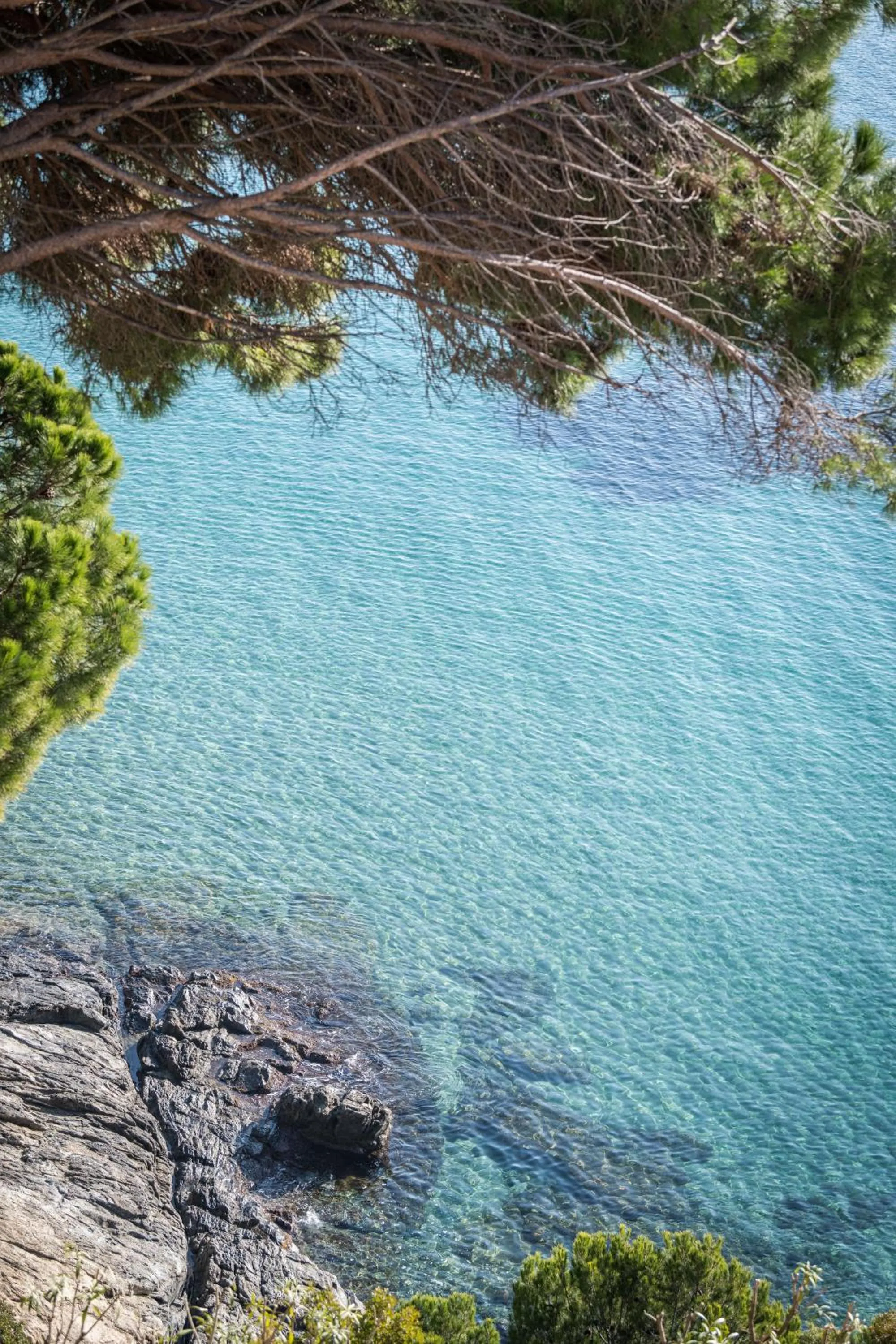 Sea view in Almadraba Park Hotel