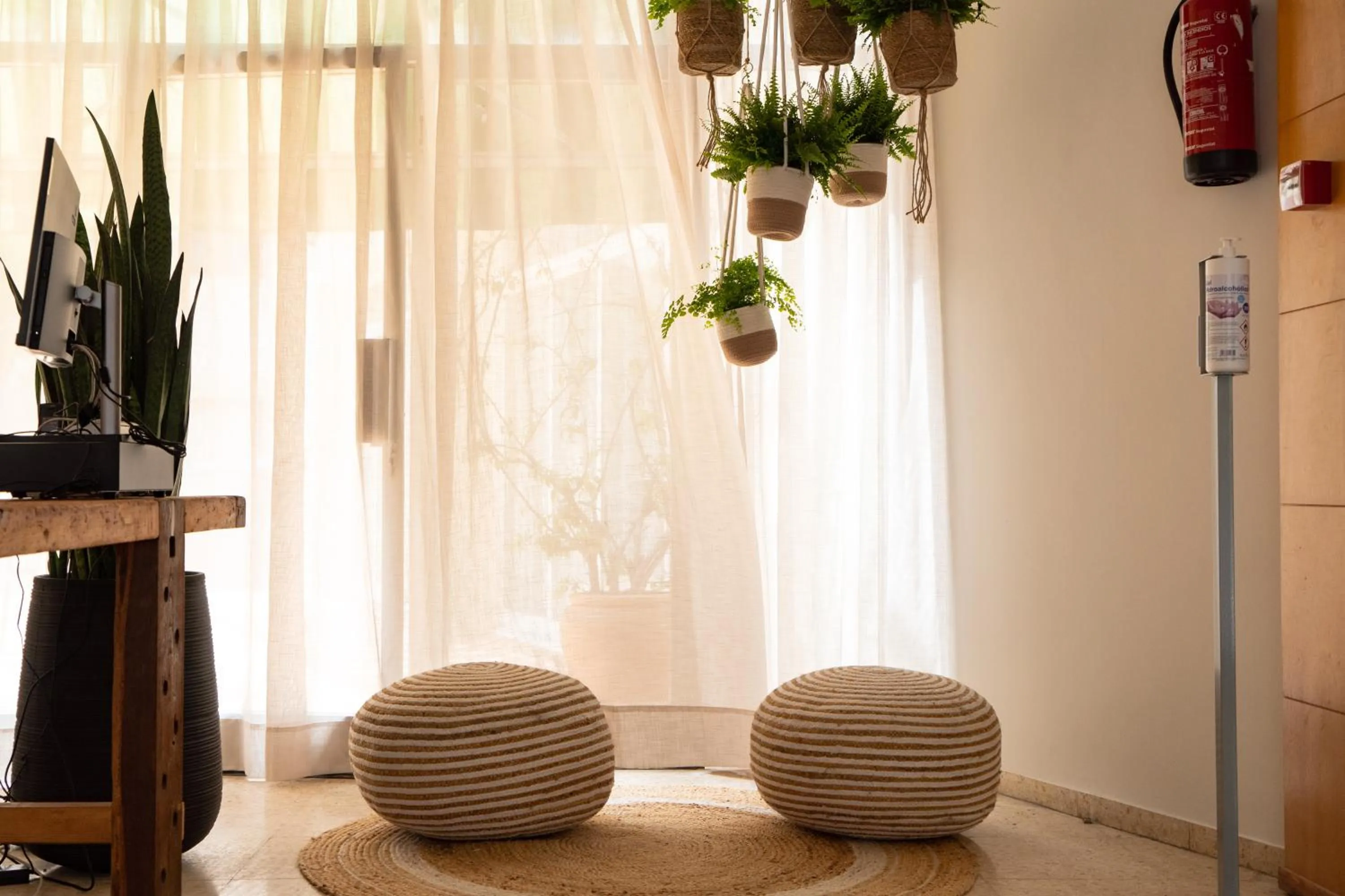 Restaurant/places to eat in Hotel Aubí