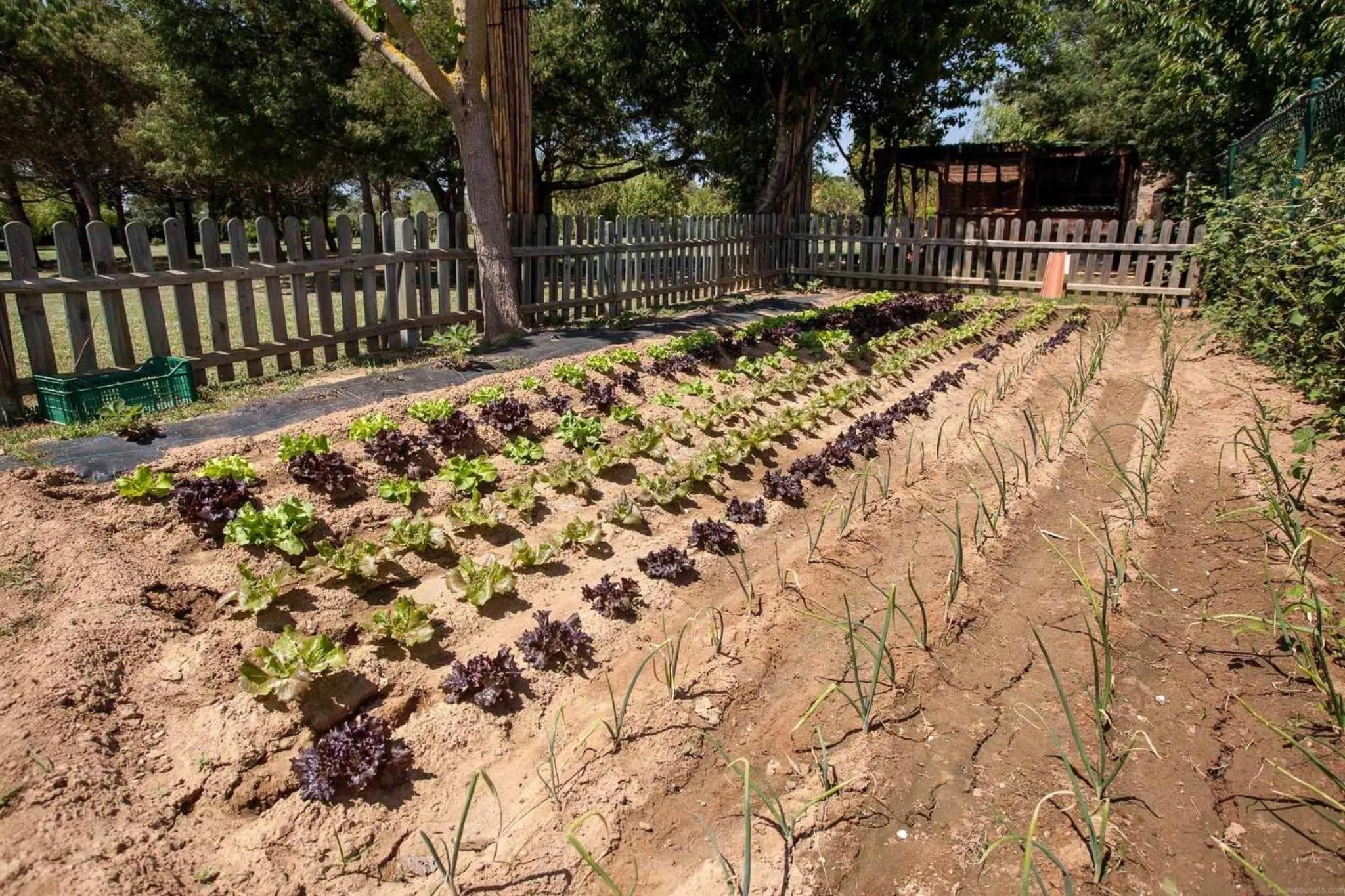 Other in Hotel Mas Rabiol -Emporda-Only Adults-Eco Hotel