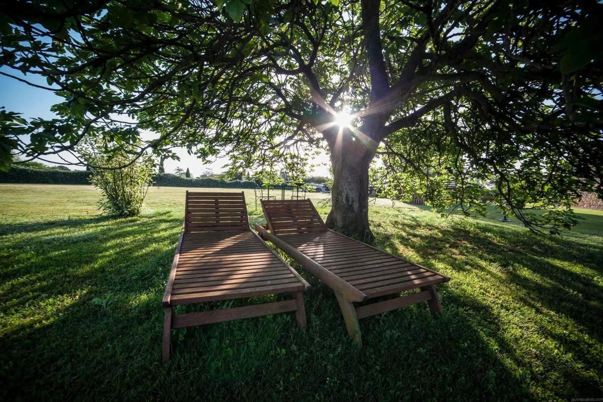 Garden in Hotel Mas Rabiol -Emporda-Only Adults-Eco Hotel