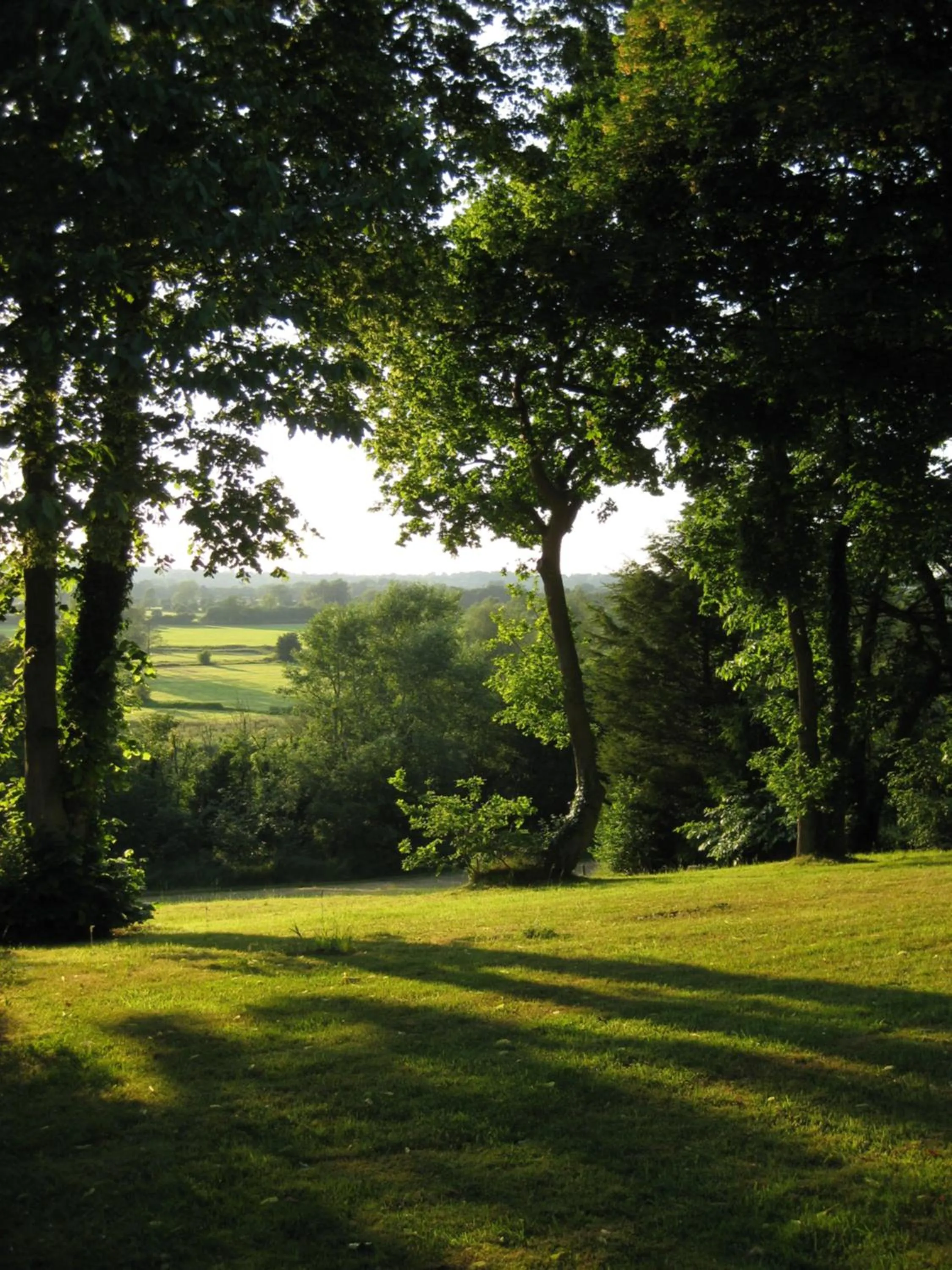 Garden in Folly Studio Bed and Breakfast
