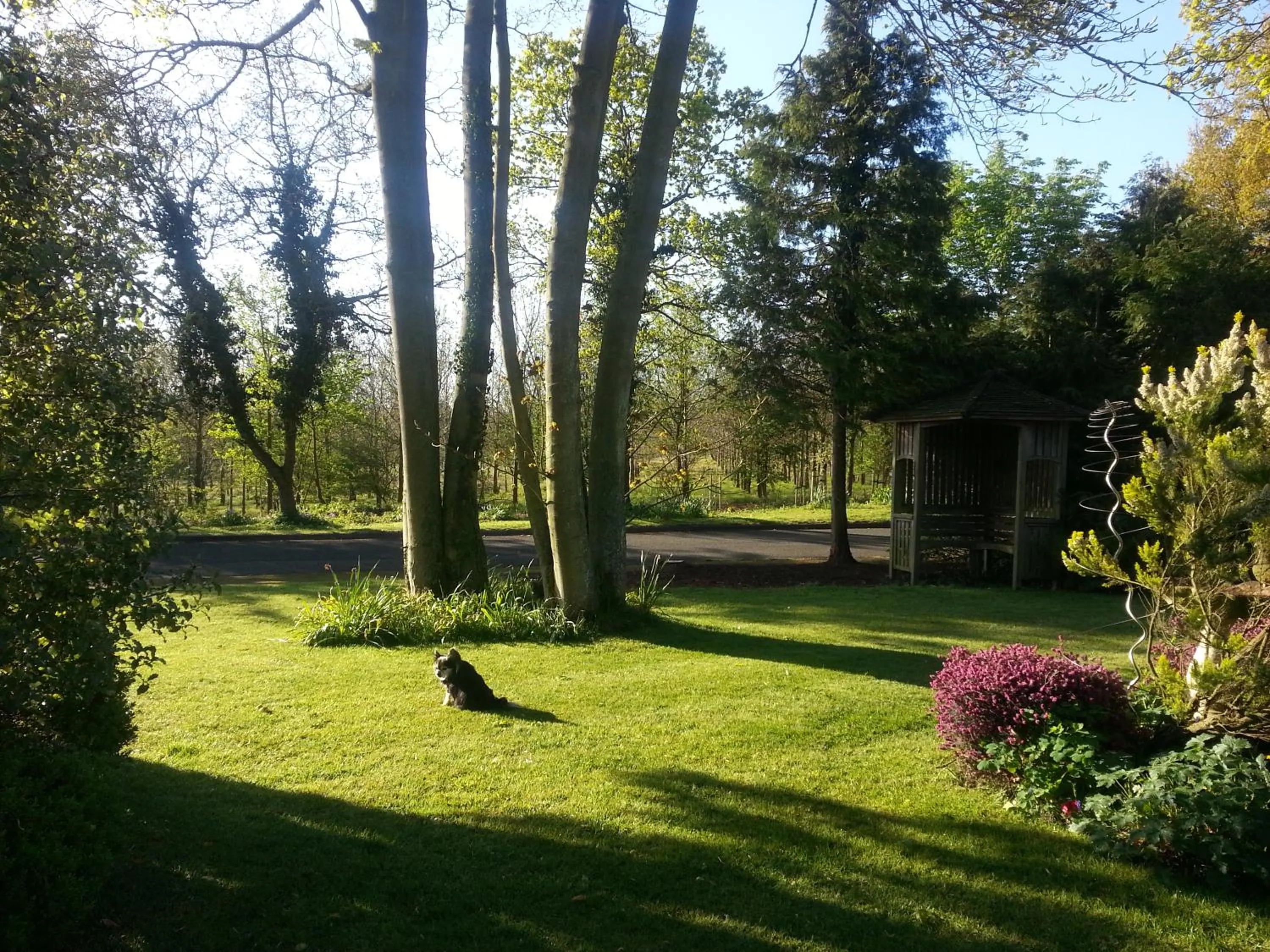 Garden in Folly Studio Bed and Breakfast