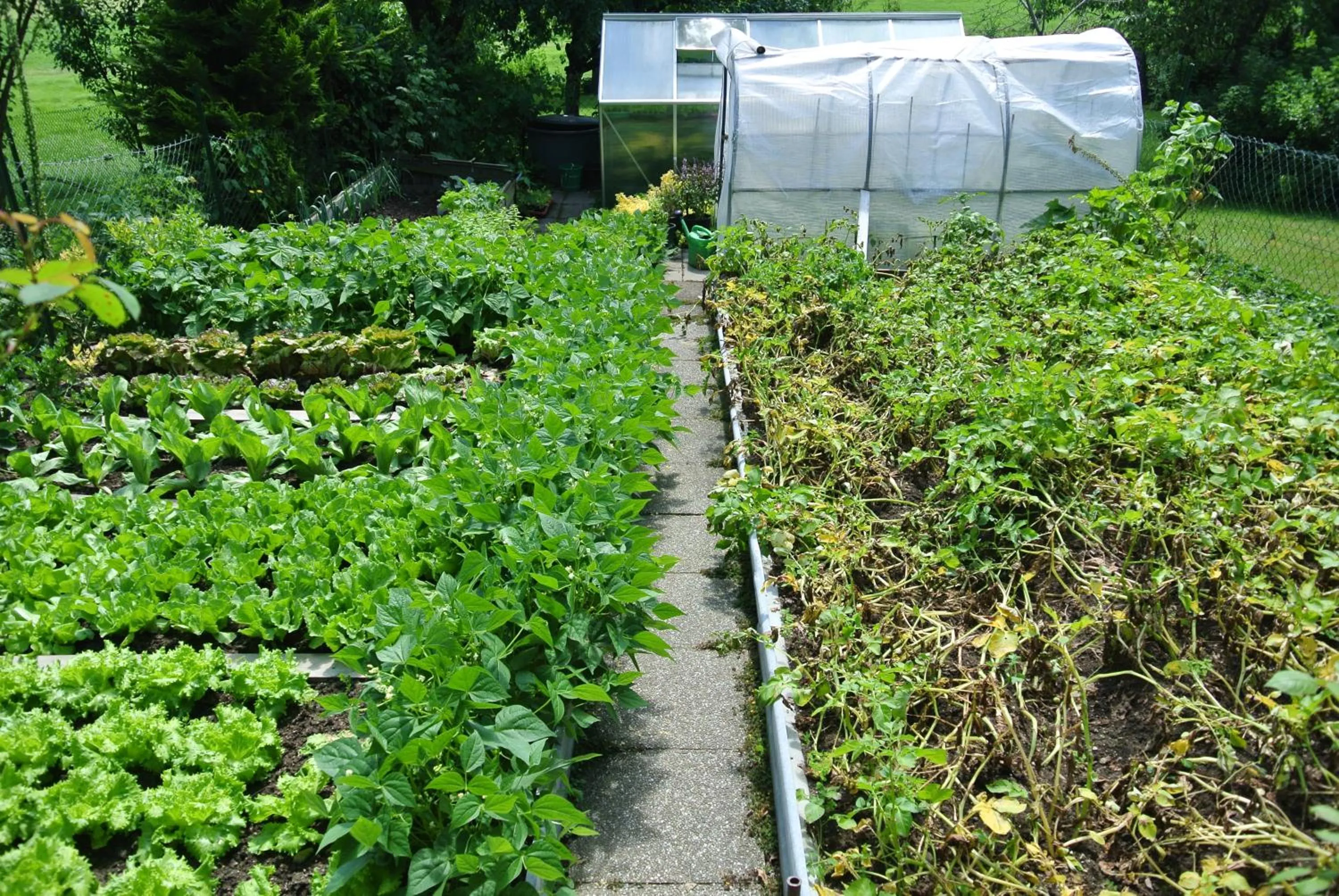 Garden in Haus Am Waldrand - Ferienwohnung Augustin