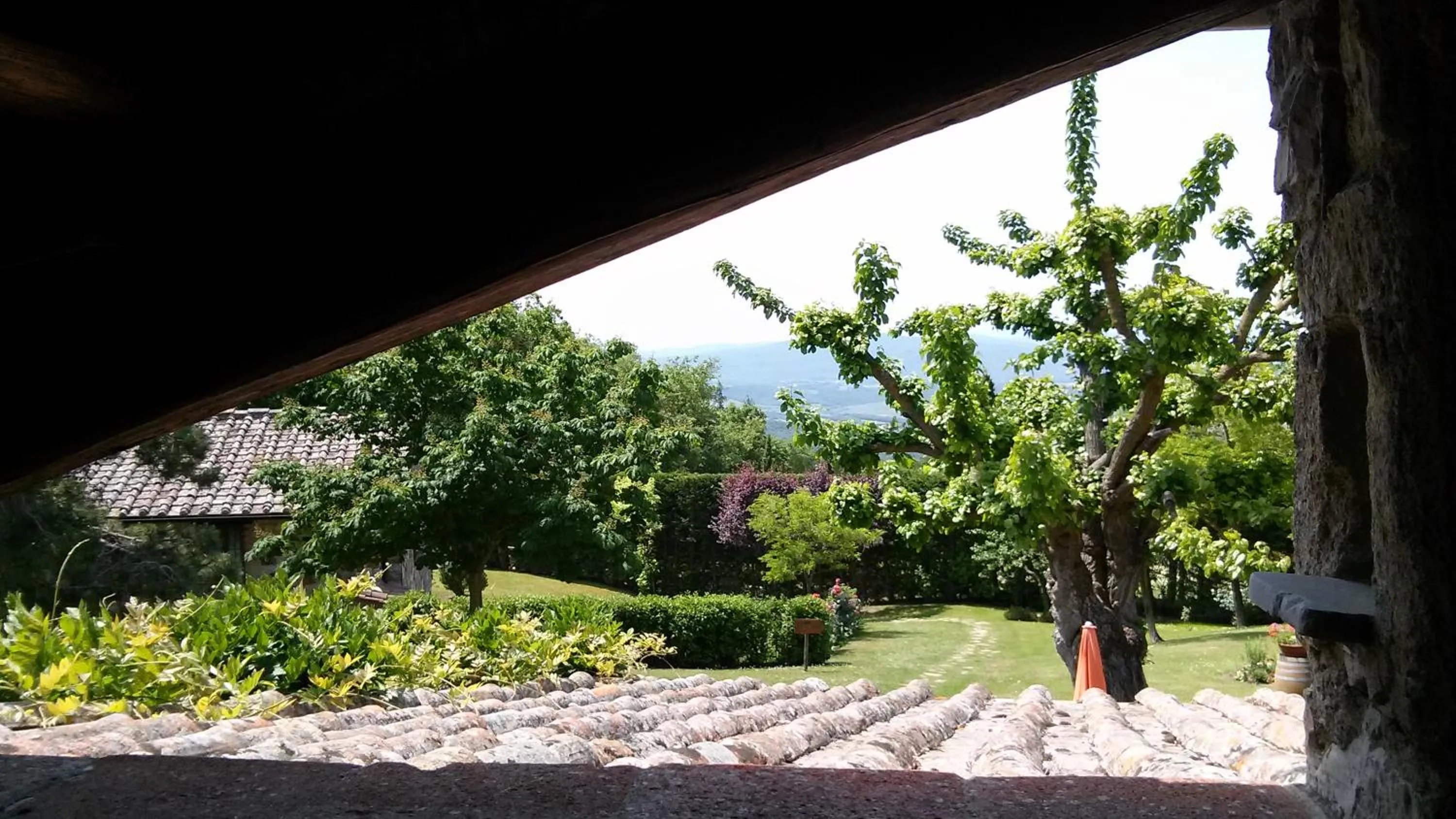 Balcony/Terrace in Hotel Colle Etrusco Salivolpi