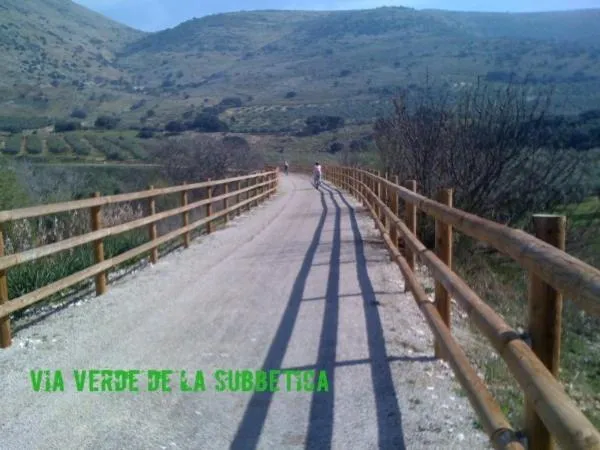 Area and facilities in Los Castillarejos Apartamentos Rurales