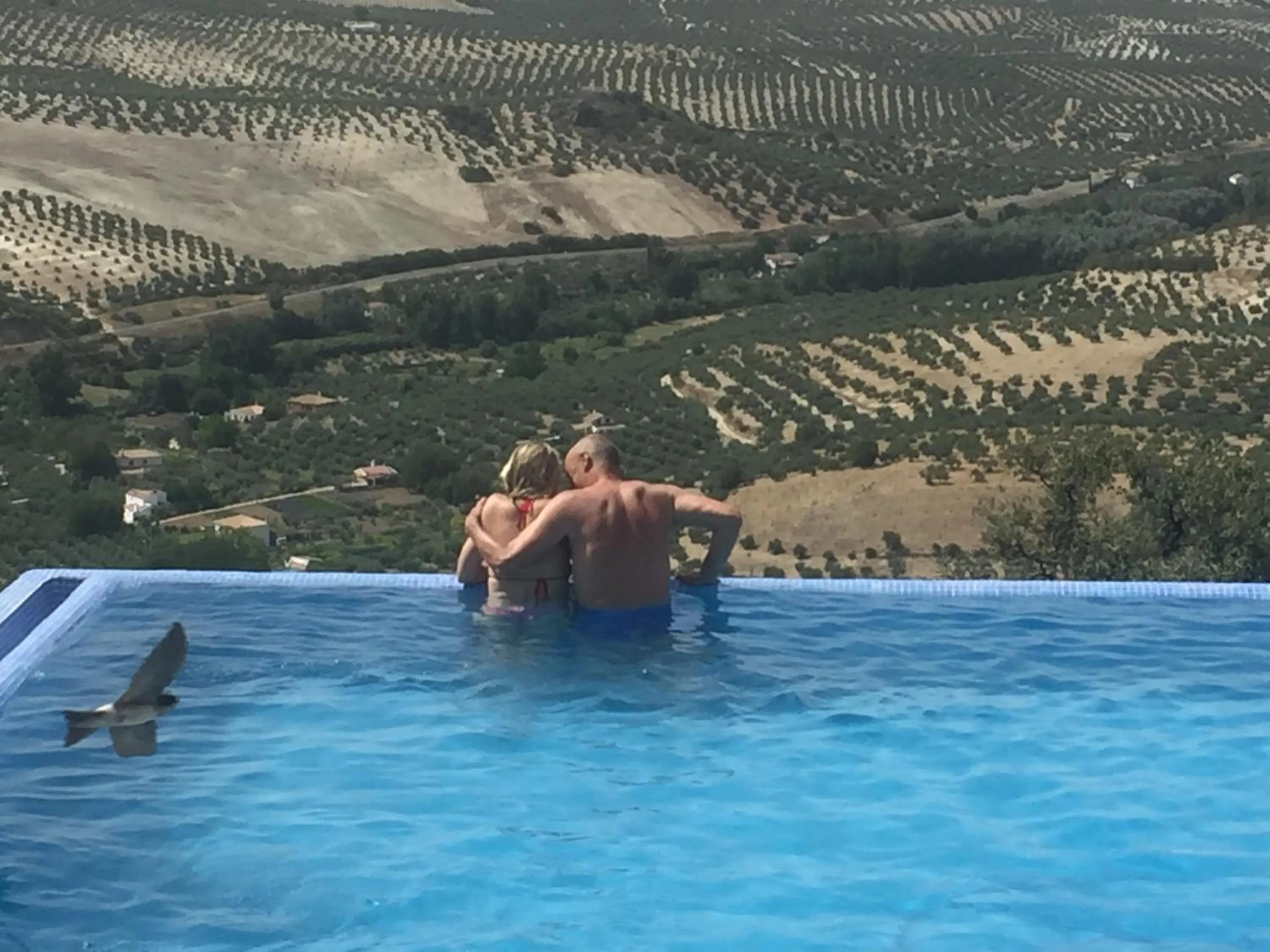 Family in Los Castillarejos Apartamentos Rurales