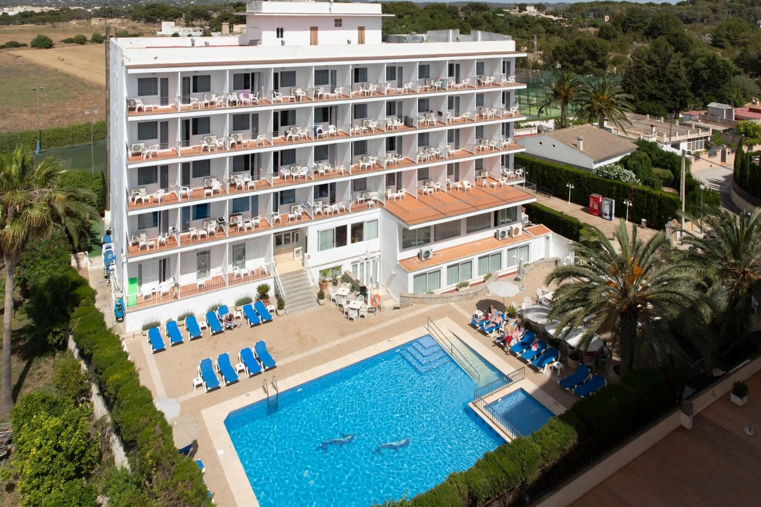 Swimming pool in Hotel Don Miguel Playa